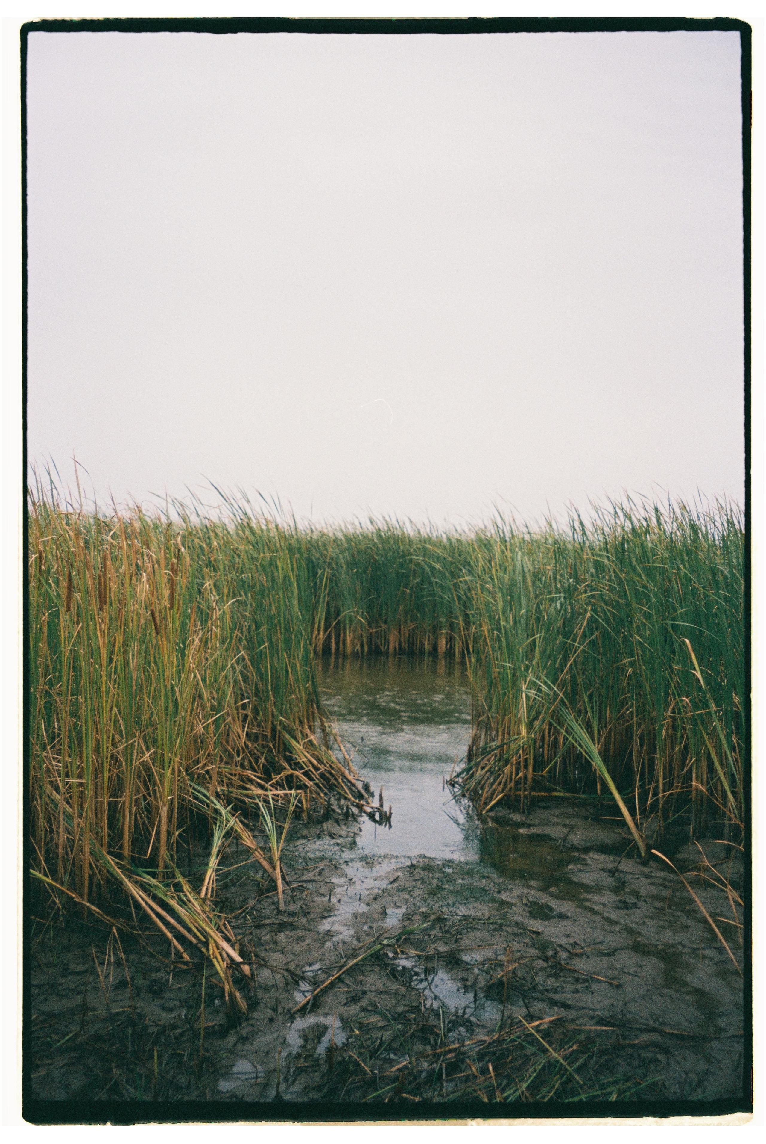 Nature. Фотограф Ирина Гринько Тольятти Самара Москва