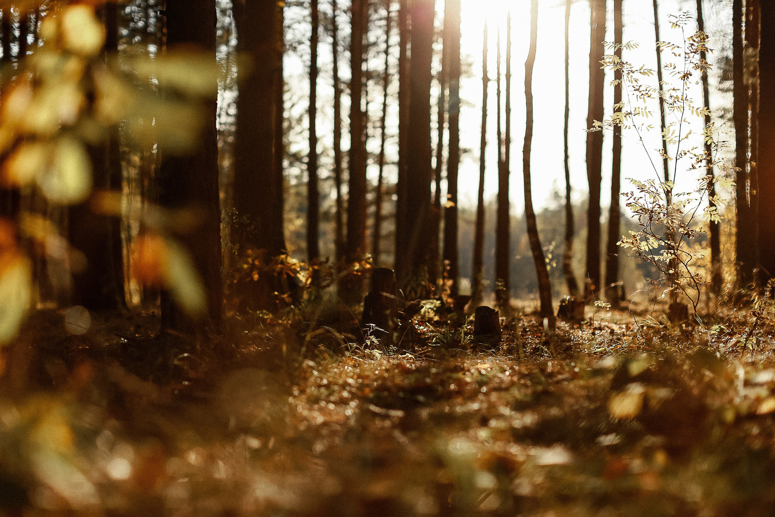 Магия обыкновенного. Фотограф-документалист и фототерапевт Настя Китаева. Город Москва
