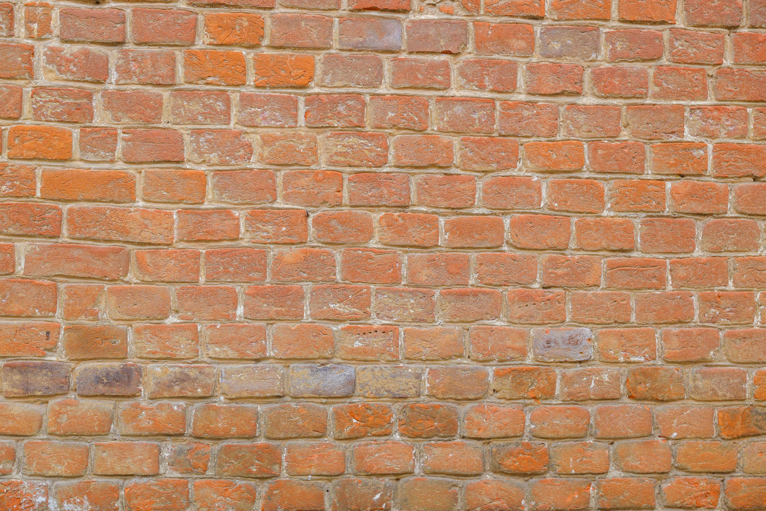 Поездка в Белев и на производство пастилы. Фотограф в Туле Крупский АнДРей. Фотостудия «КАДР71» в Туле