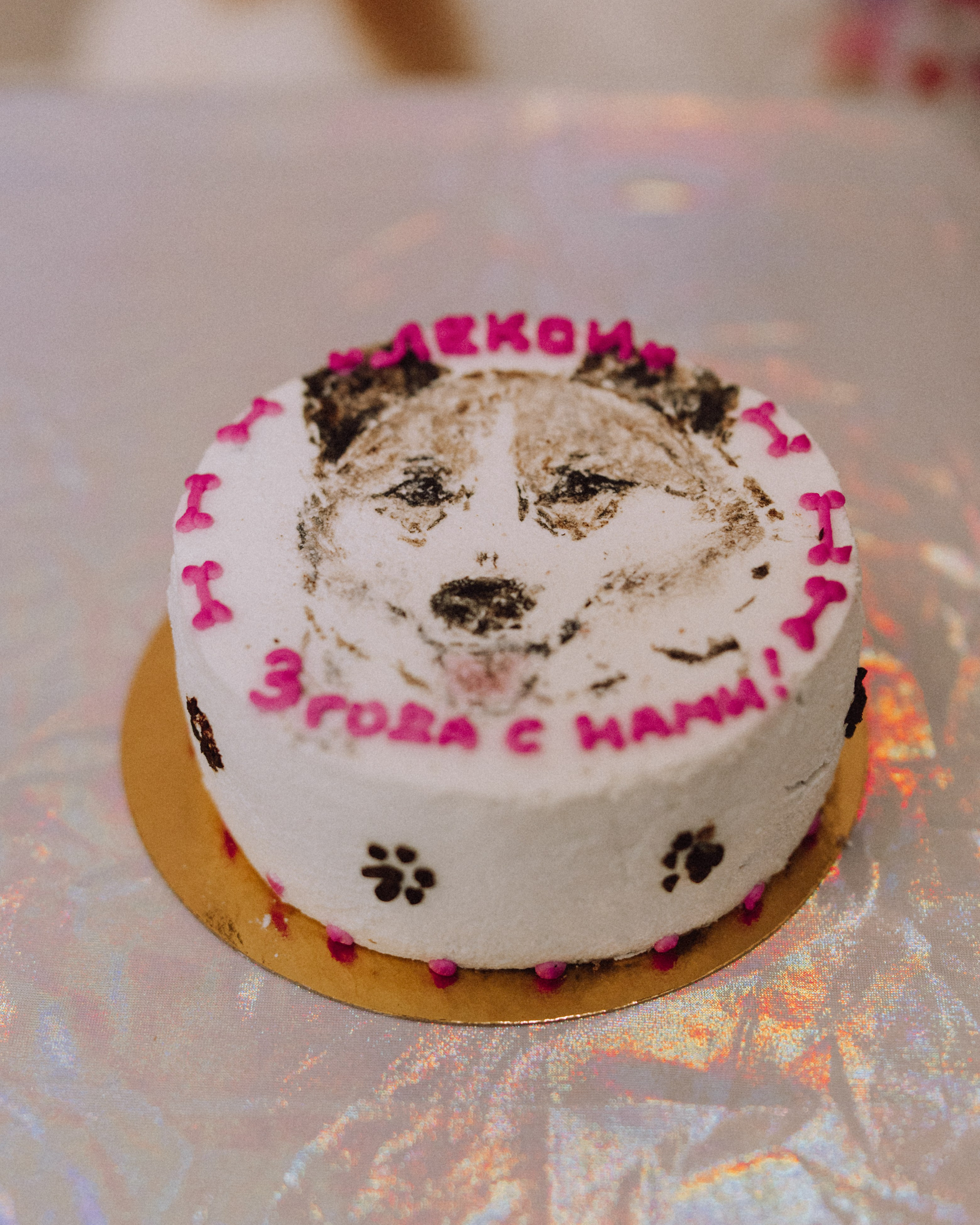 Животные. Фотограф Сочи-Краснодар