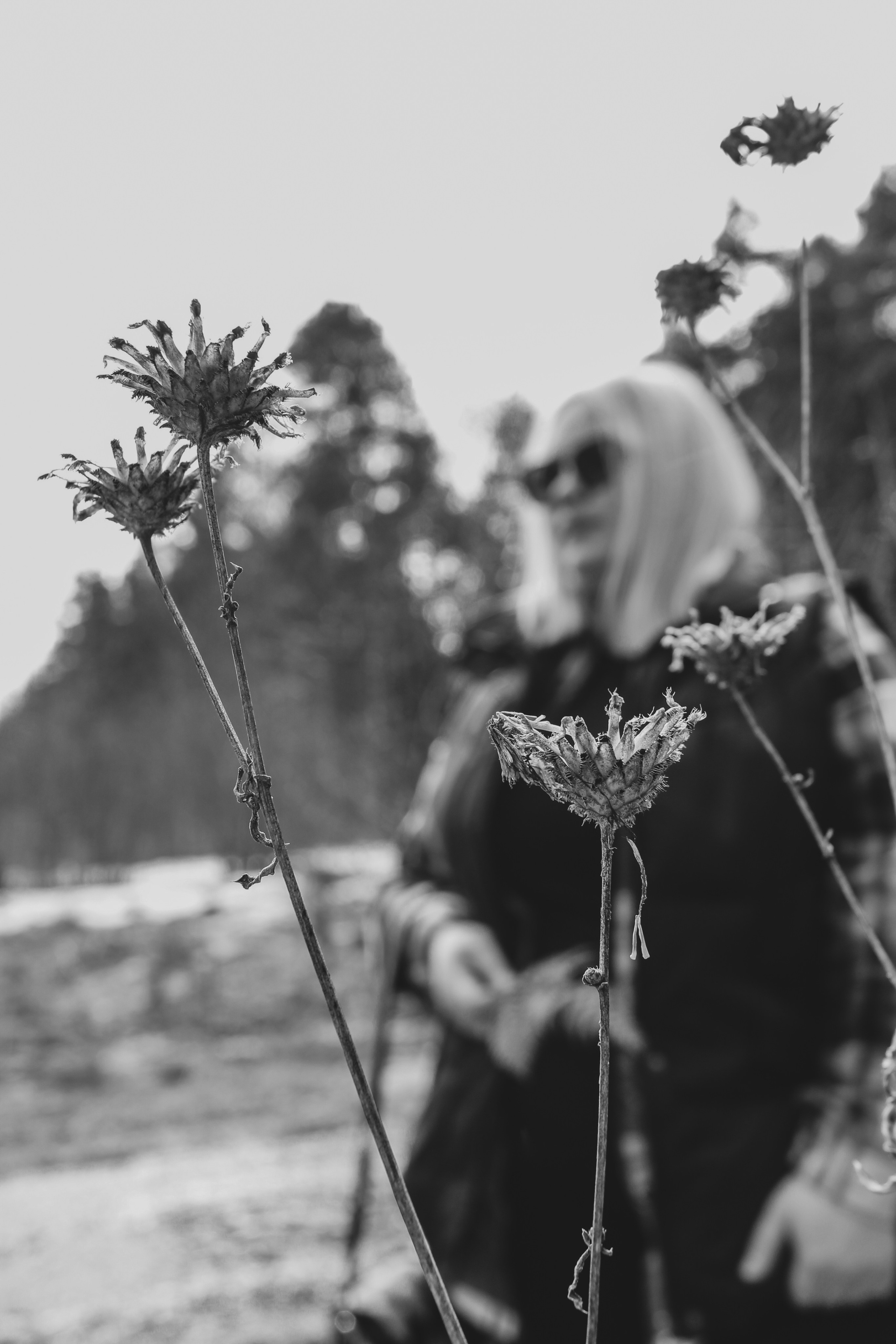 Прогулочные фотосессии. Фотограф Ольга Южная / Екатеринбург