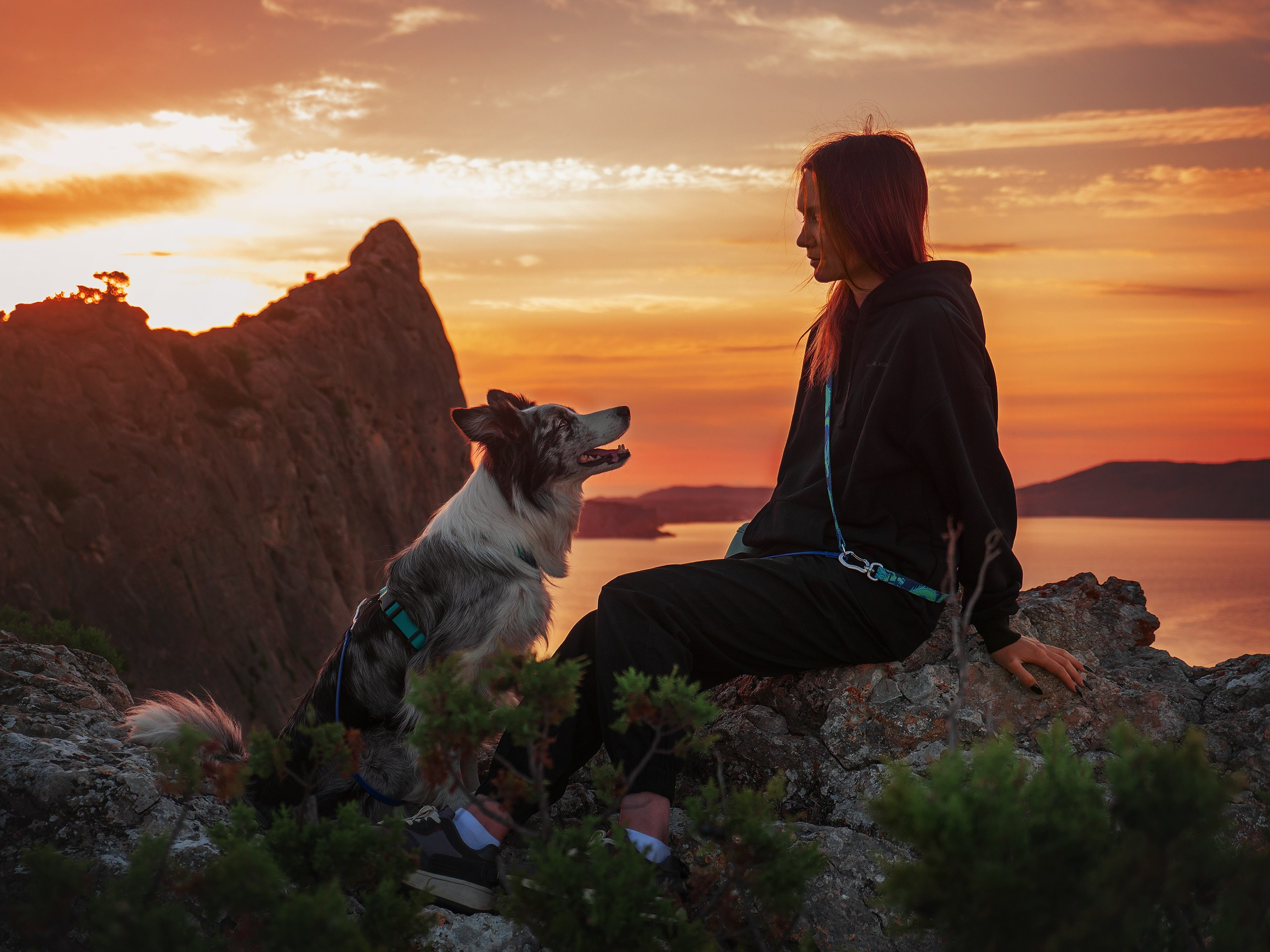 Крым. Фотограф анималист Никита Натальный