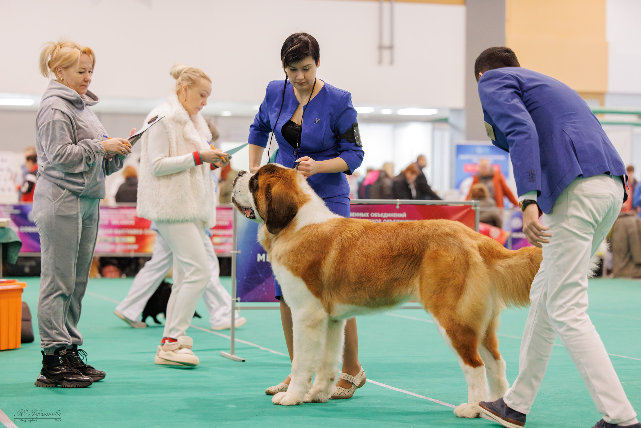 Минск 1-2.03.2025. Фотограф-анималист Юлия Германика