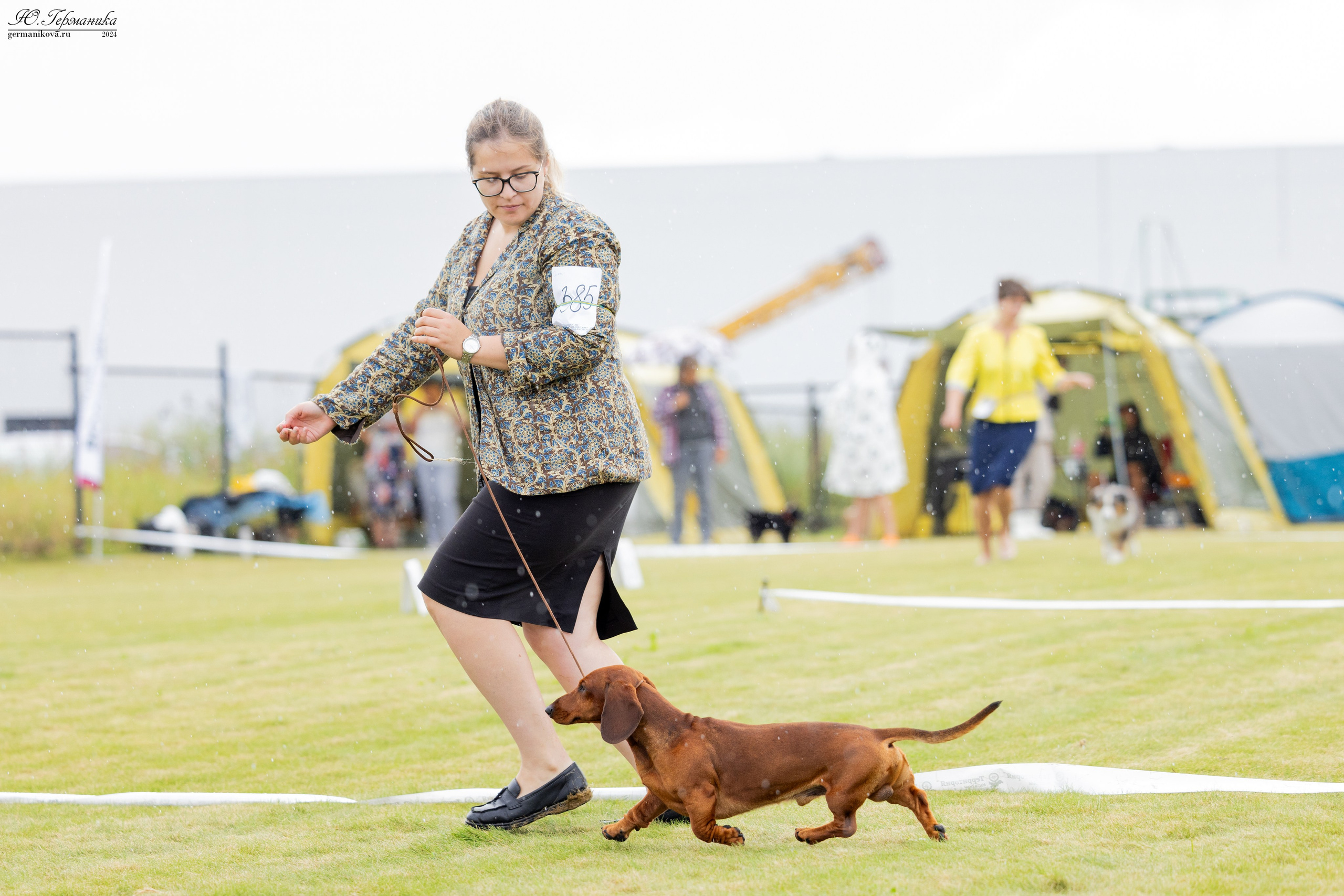 Ярославль 21.07.24 и Балашиха 13.07.24. Фотограф-анималист Юлия Германика