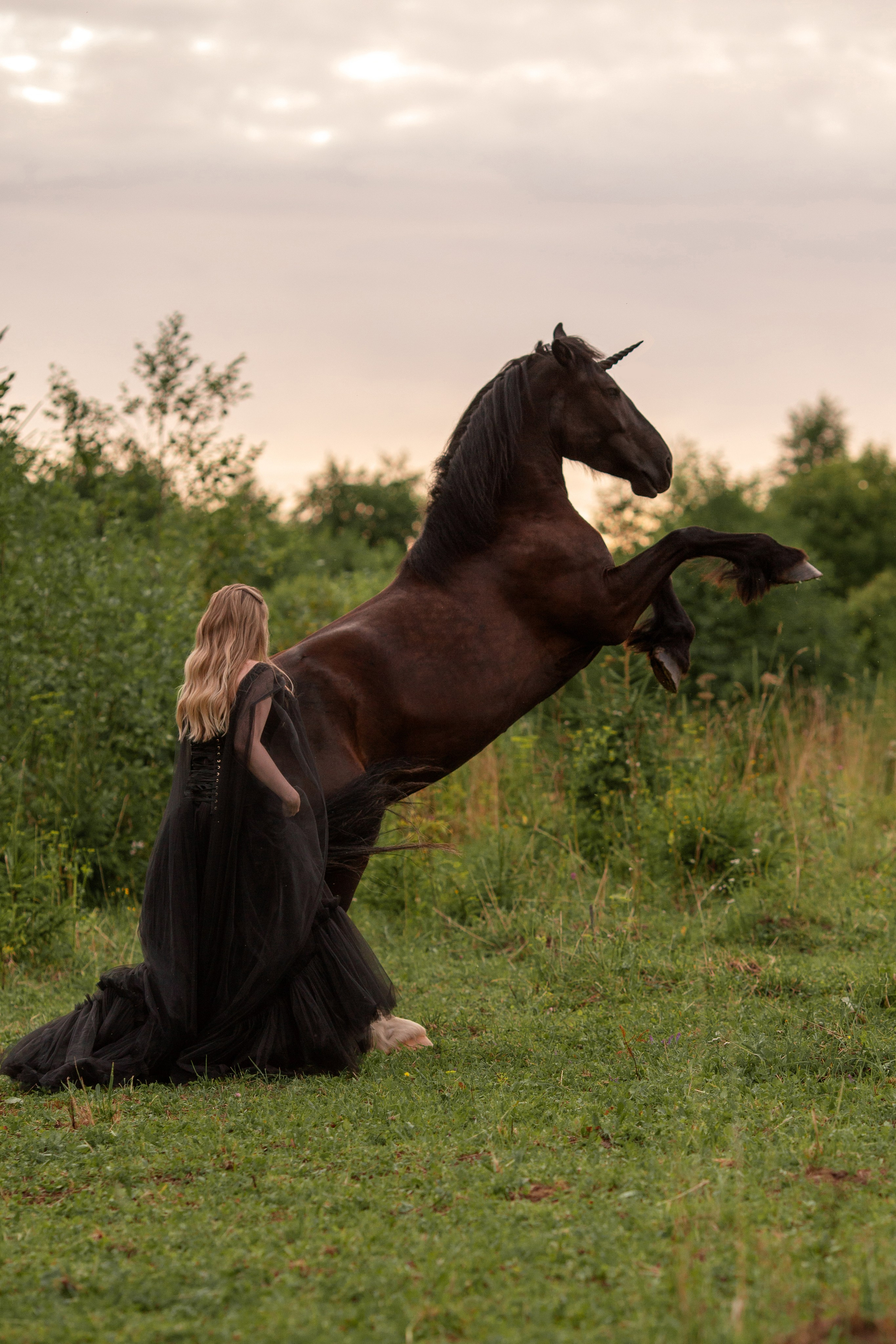 Фотосессия с единорогом