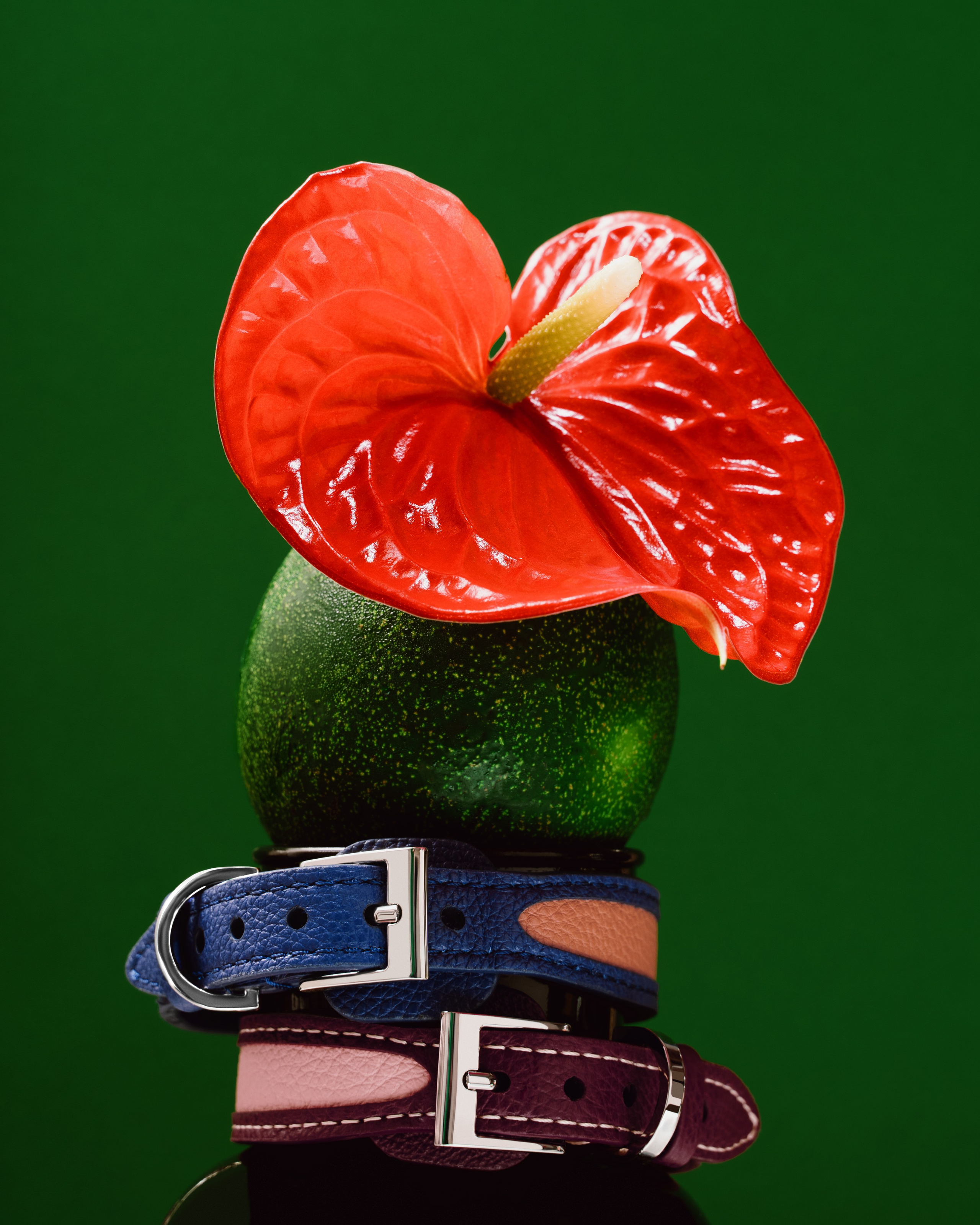 Асель Рембекова