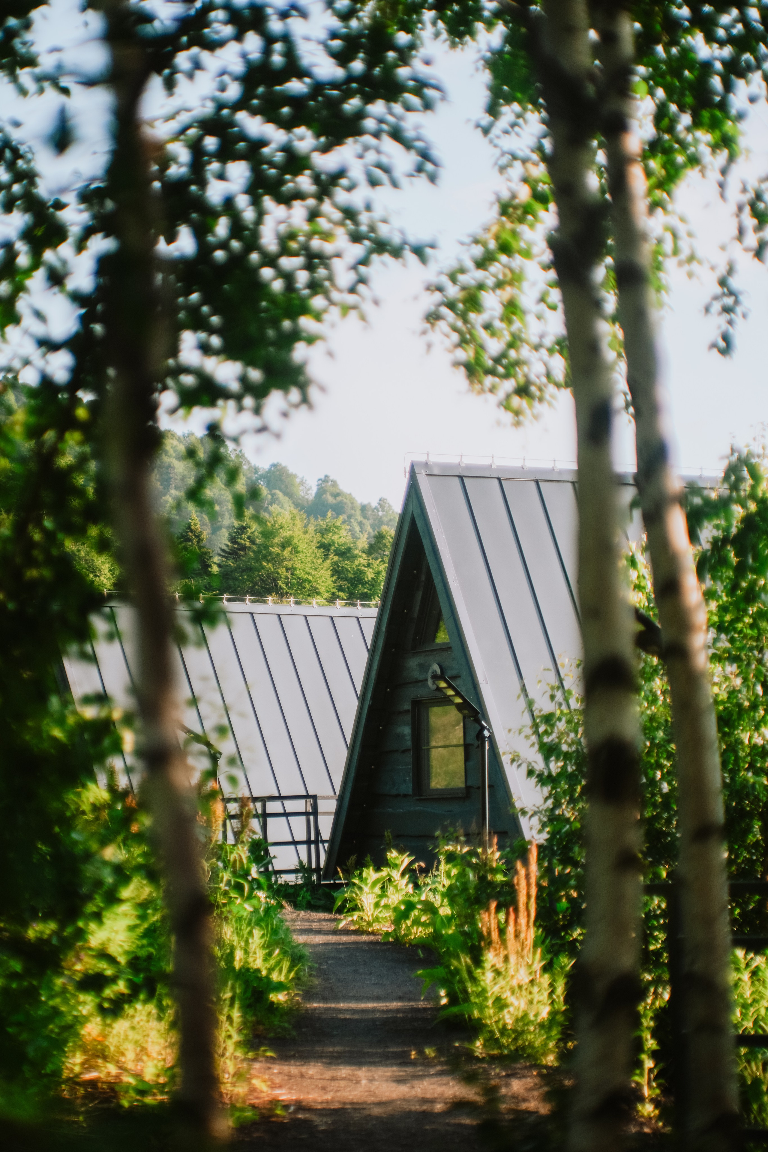Нахазо ✽ Июль. Репортажный фотограф | Роза Хутор Красная Поляна Сочи Сириус