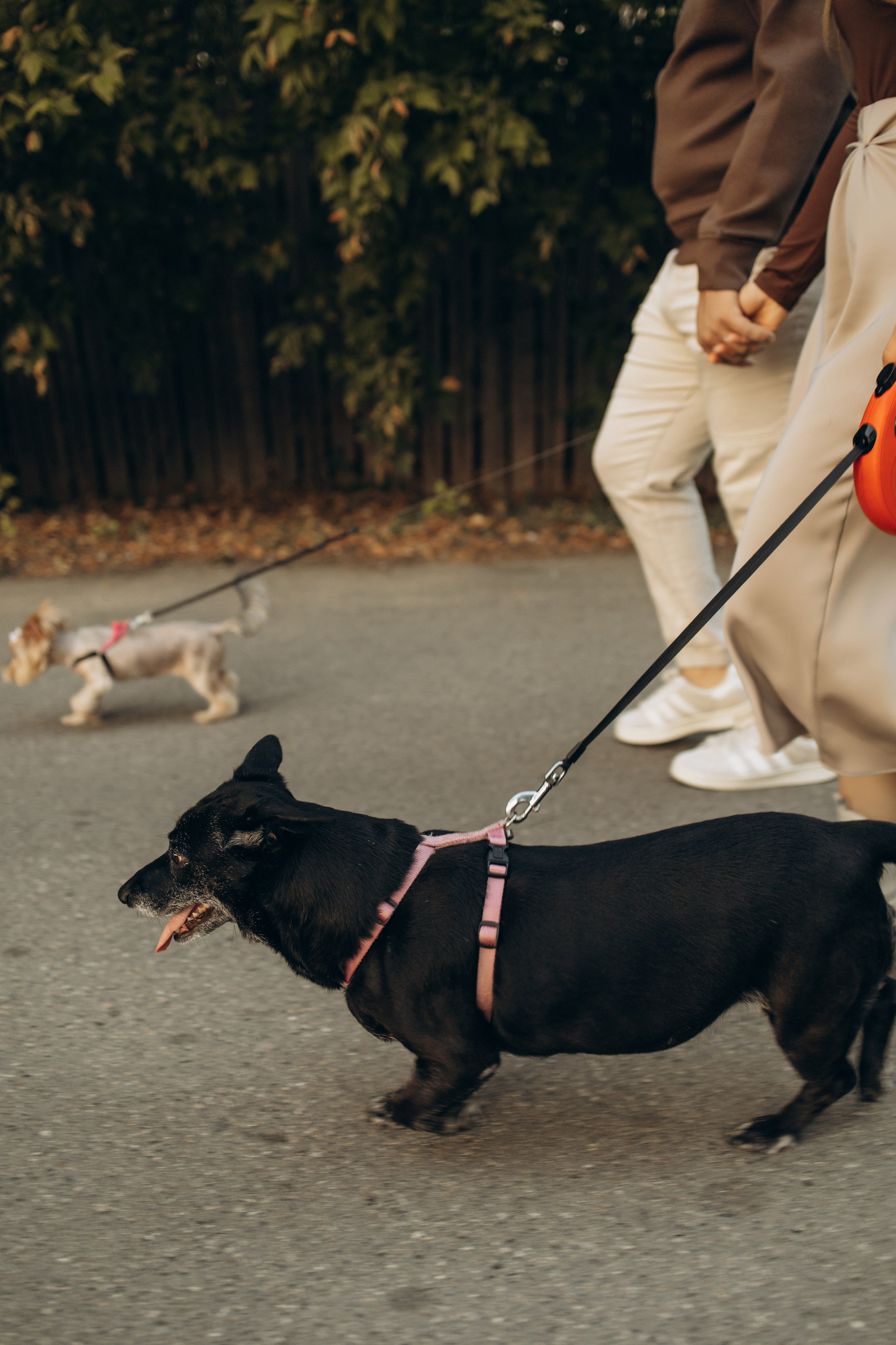 Влад и Ксюша. Самый теплый фотограф в Краснодаре Рябоконь Ксения