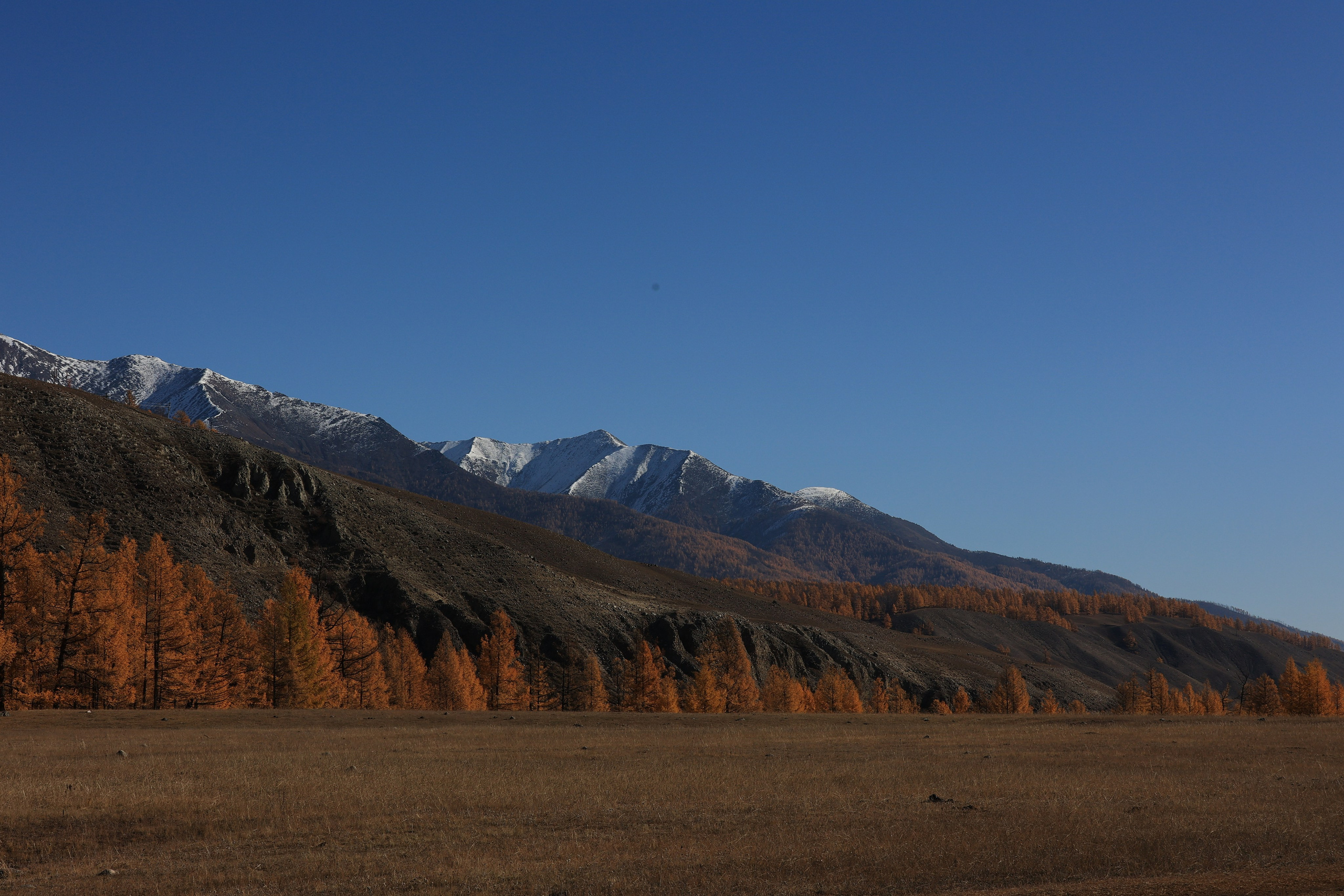 2023. Тащилин Сергей. Фотографии. Жизнь. Хобби