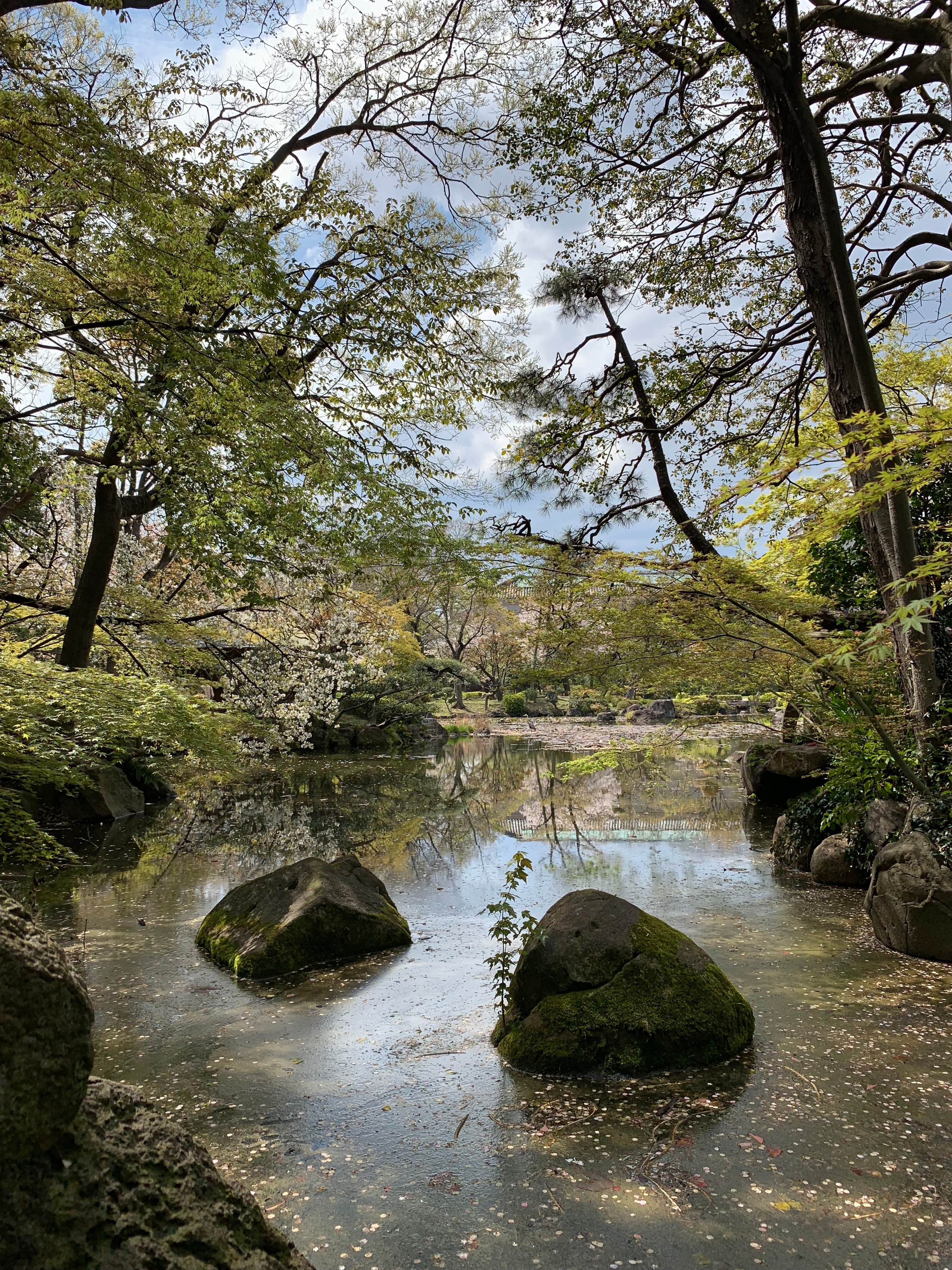 2019 год. Тащилин Сергей. Фотографии. Жизнь. Хобби