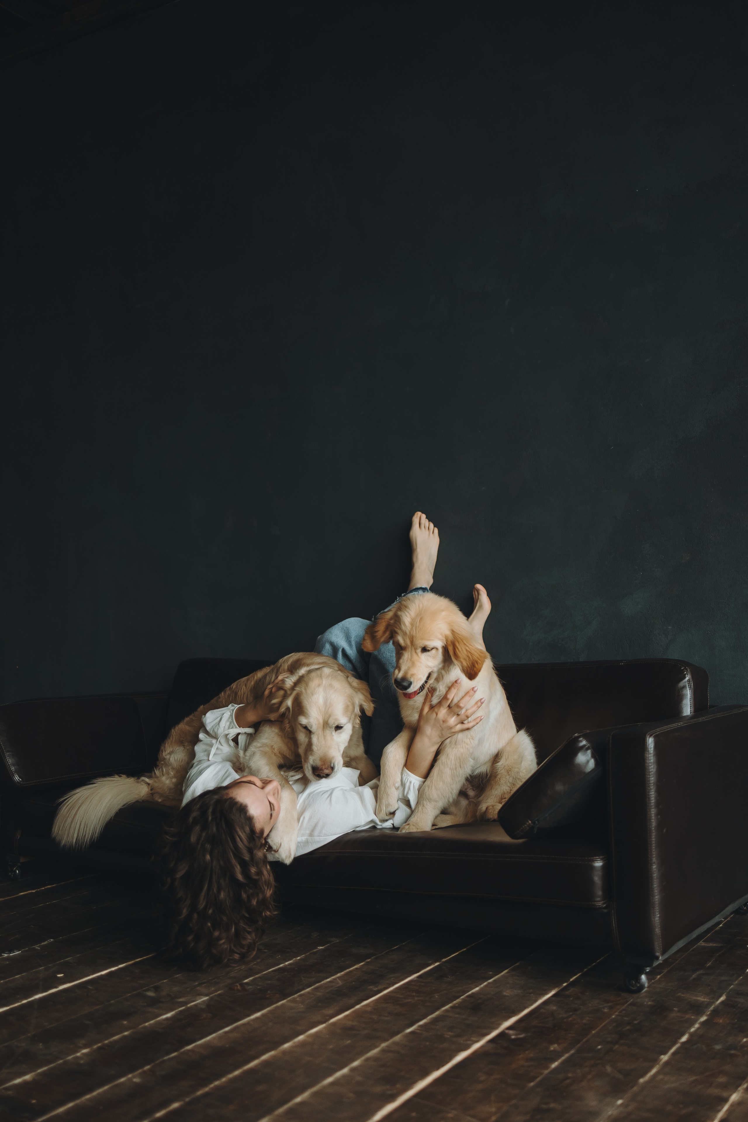 Настя, Арчи и Арагон. Фотограф-анималист в Санкт-Петербурге Алина Яхонт