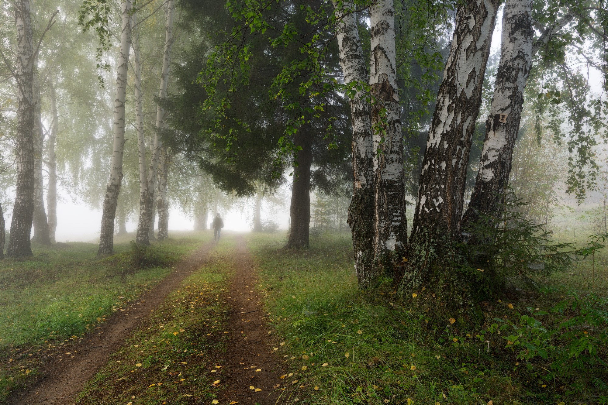 Осенние пейзажи Черноисточинска | Фотограф Николай Обухов
