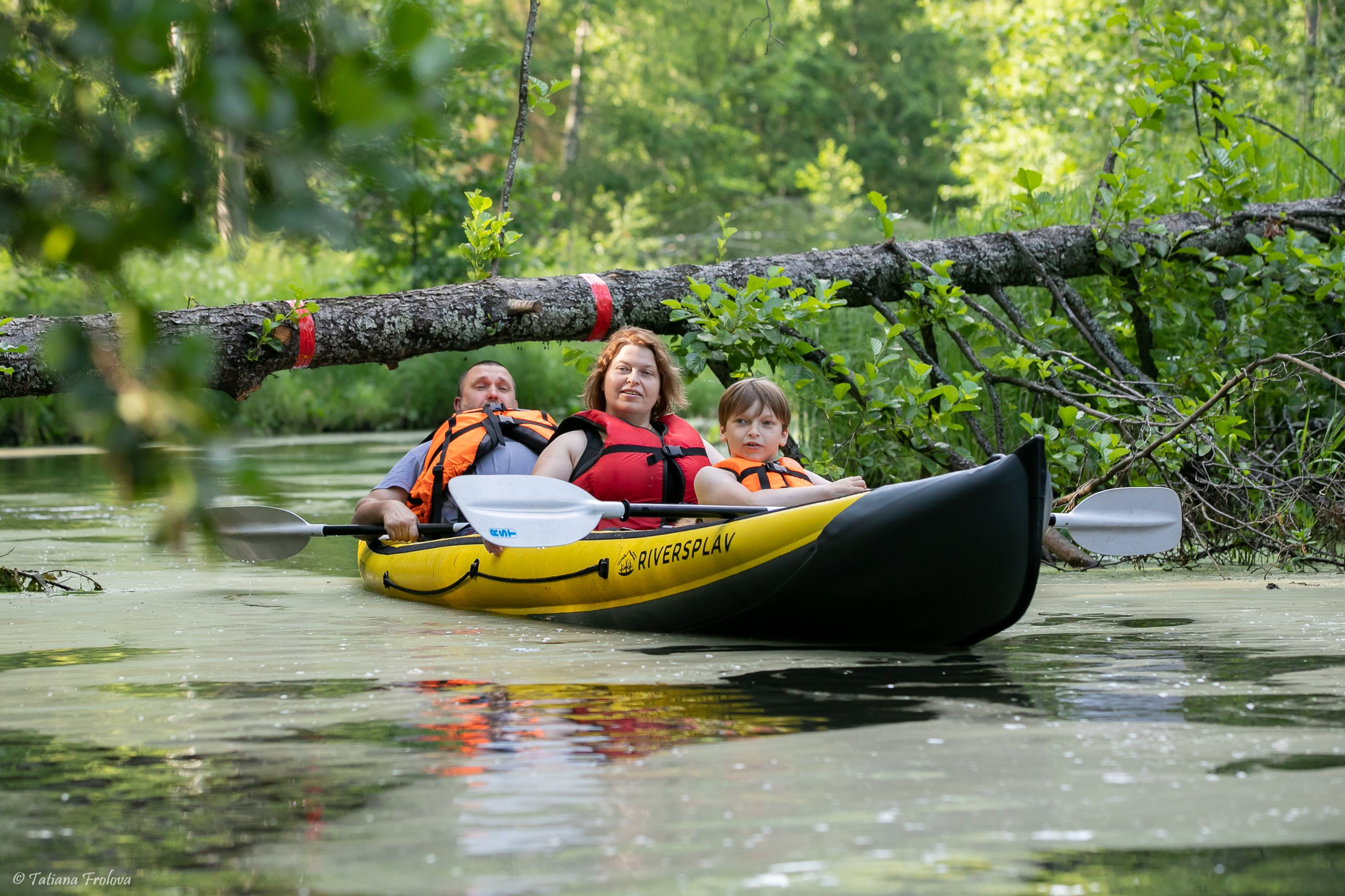Фотоочет о сплаве на байдарках вместе с собаками. Фотограф-анималист в Москве и Московской области Татьяна Фролова