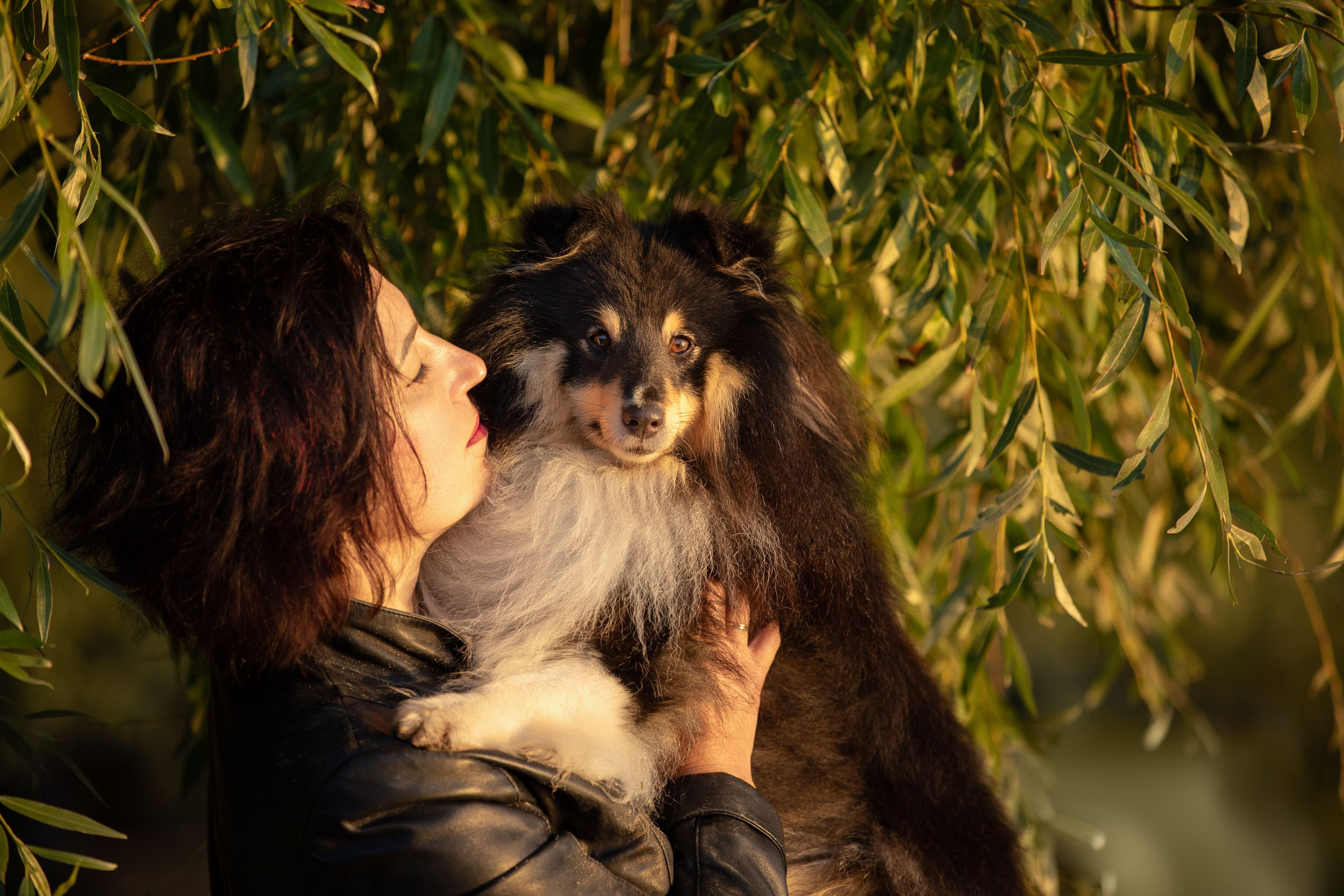 Съемка с шелти на рассвете на песчаном карьере. Фотограф-анималист в Москве и Московской области Татьяна Фролова