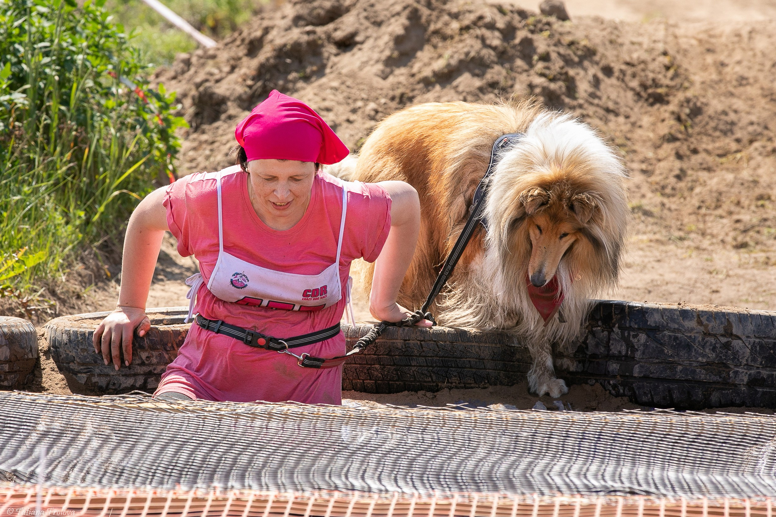 Фоторепортаж с забега с собаками. Фотограф-анималист в Москве и Московской области Татьяна Фролова