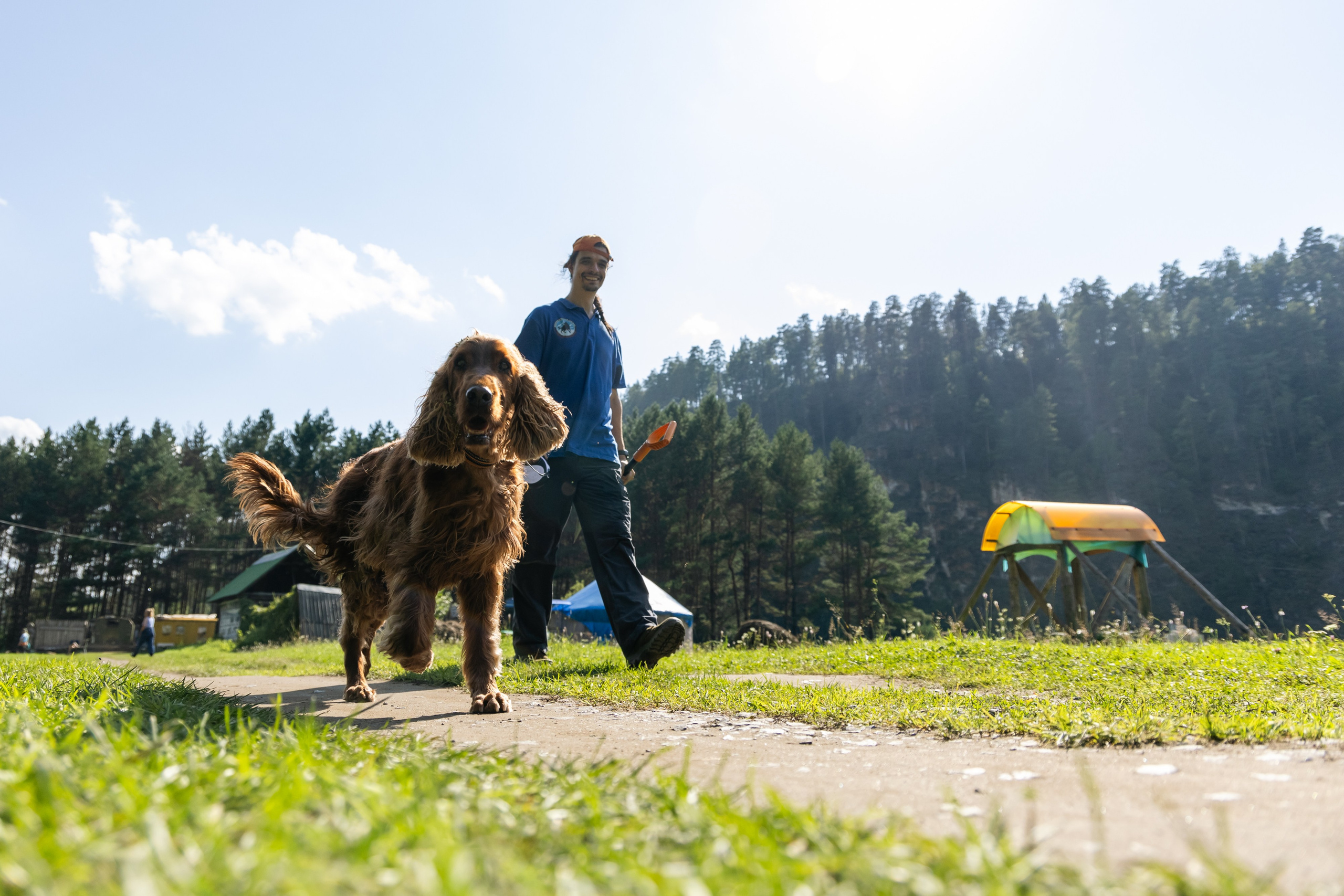 VI ОТКРЫТЫЕ КИНОЛОГИЧЕСКИЕ СОРЕВНОВАНИЯ. ЧЕЛЯБИНСКАЯ ОБЛАСТЬ 2025. Репортажный фотограф Наталья Лапцевич