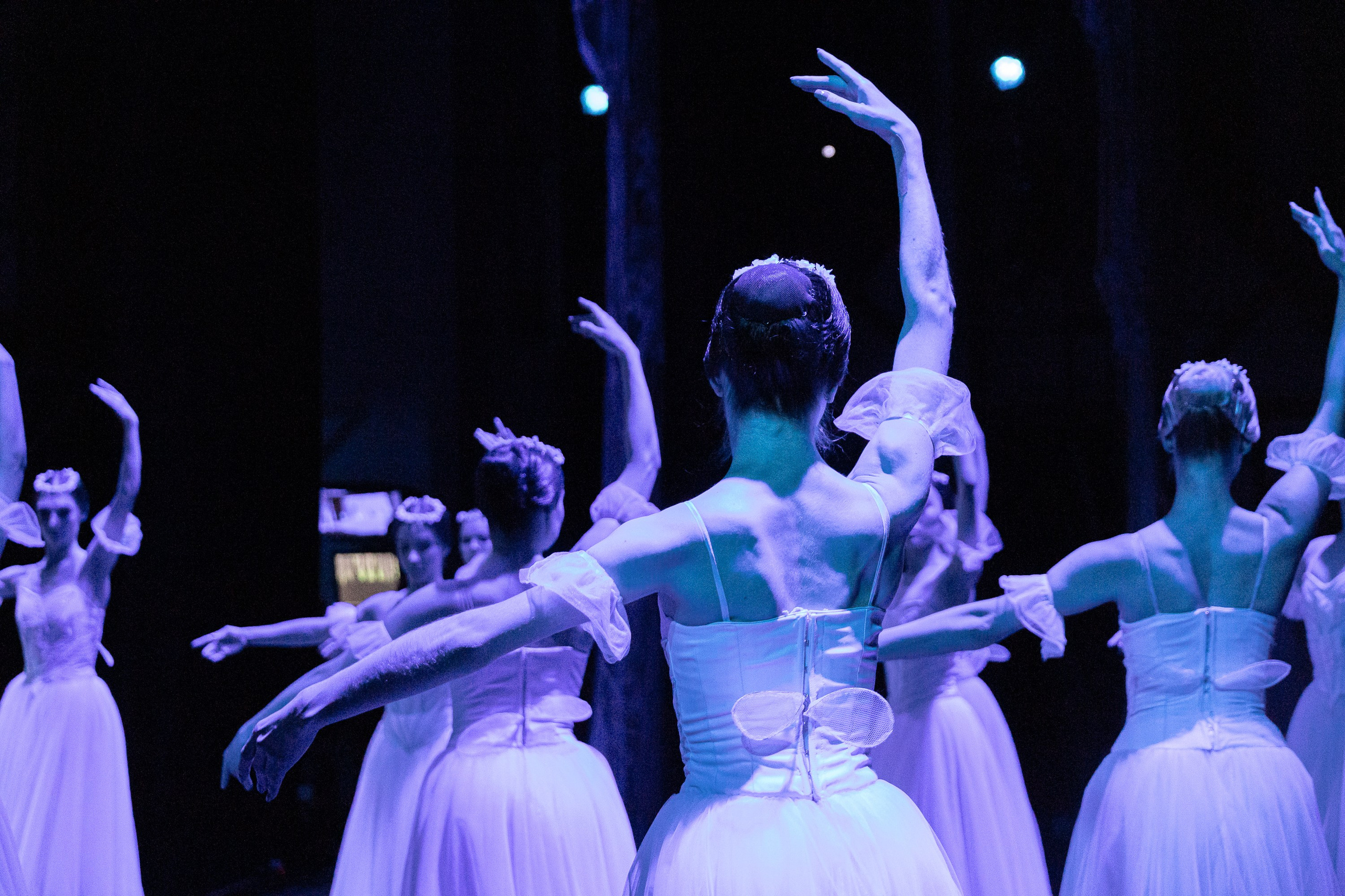 Концерты. Семейный фотограф в Абакане Любовь Халявина