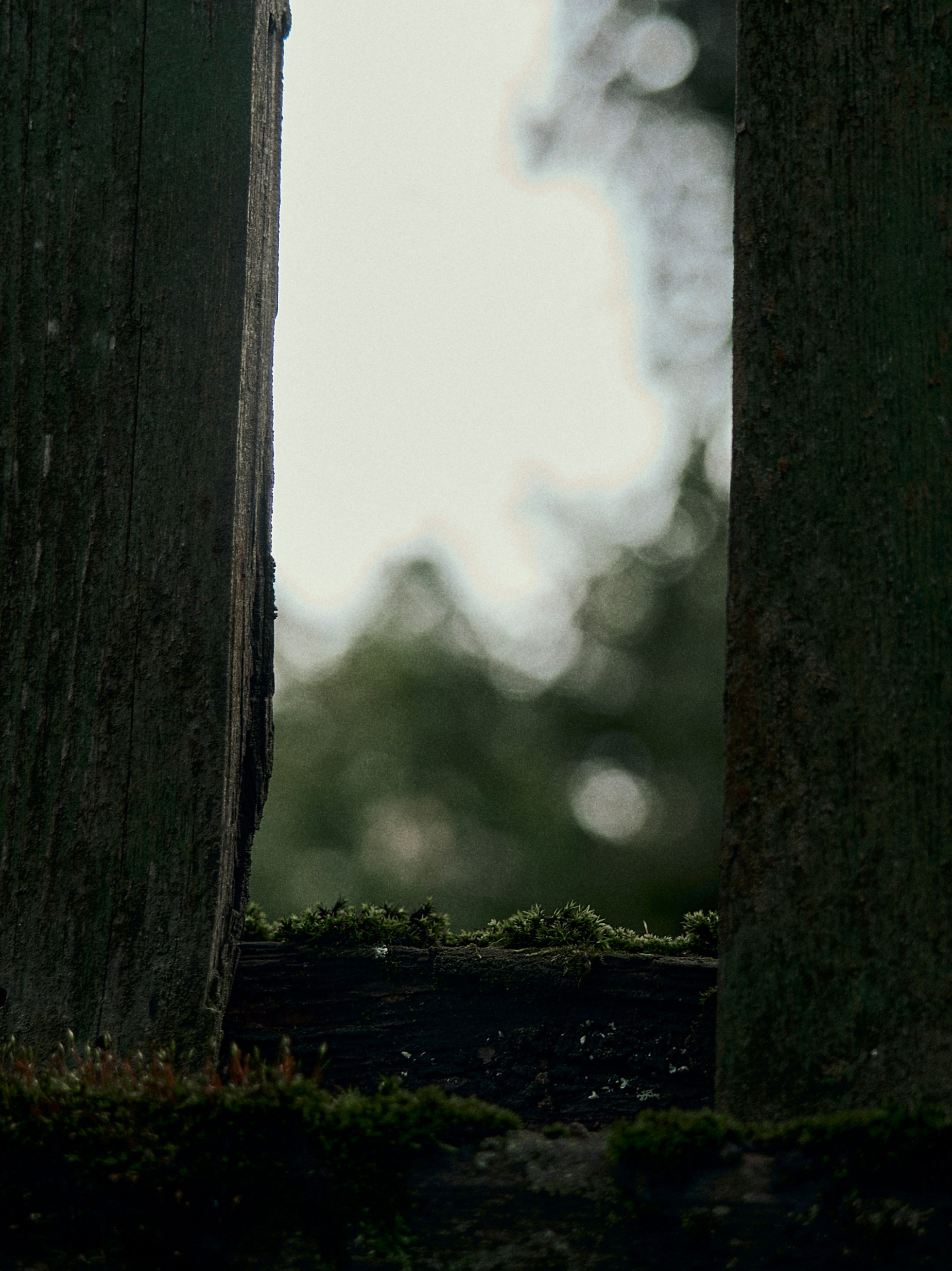 Street. Портретный фотограф в Москве