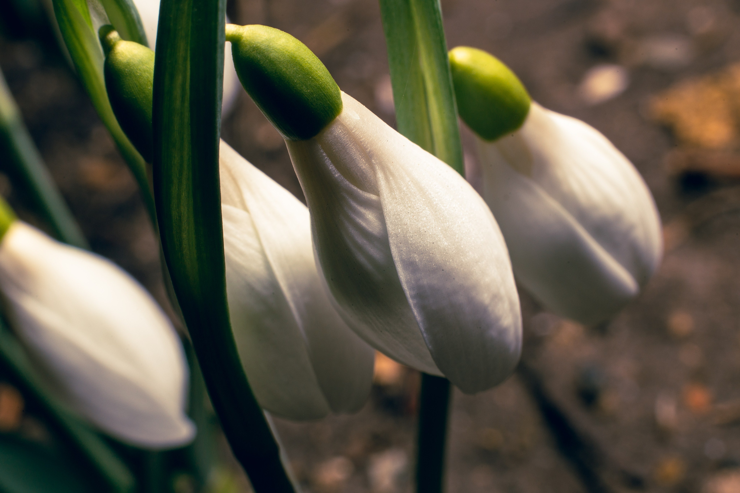 Фотограф в Анапе Олег Зекерьяев