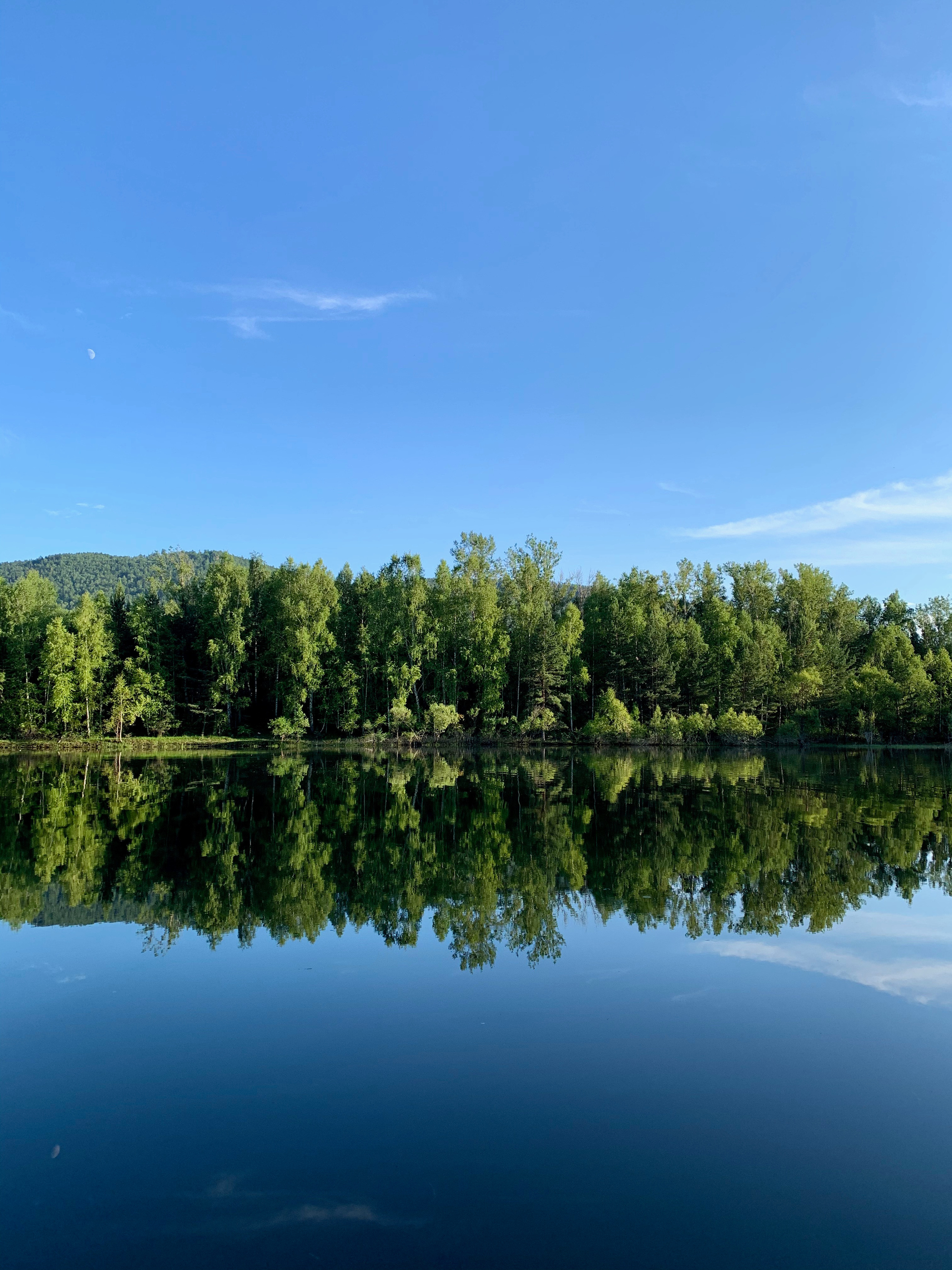 Контент. Семейный фотограф в Красноярске Лизоркина Вера