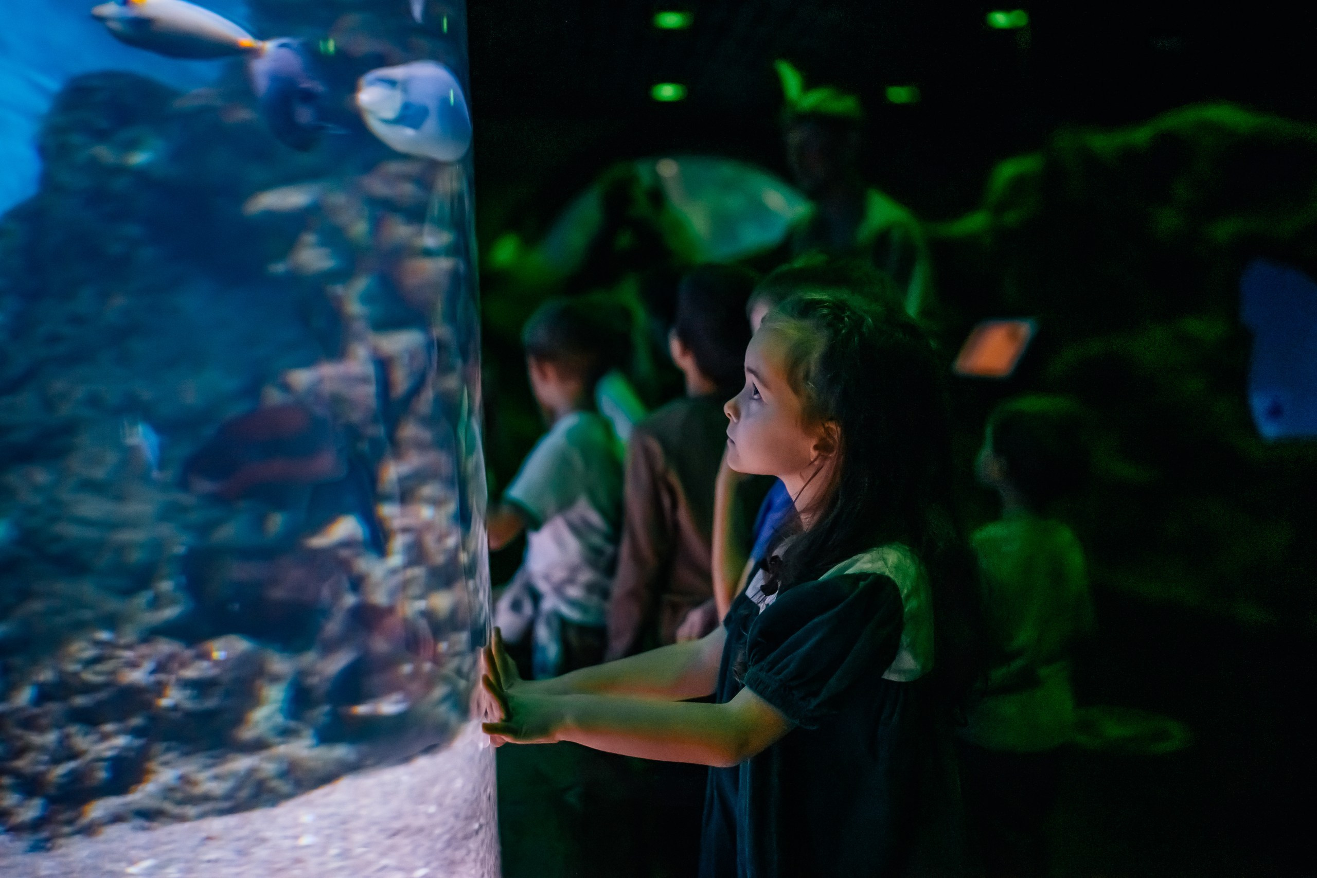 Стасу 8 лет!. Семейный фотограф в Москве Ирина Жур
