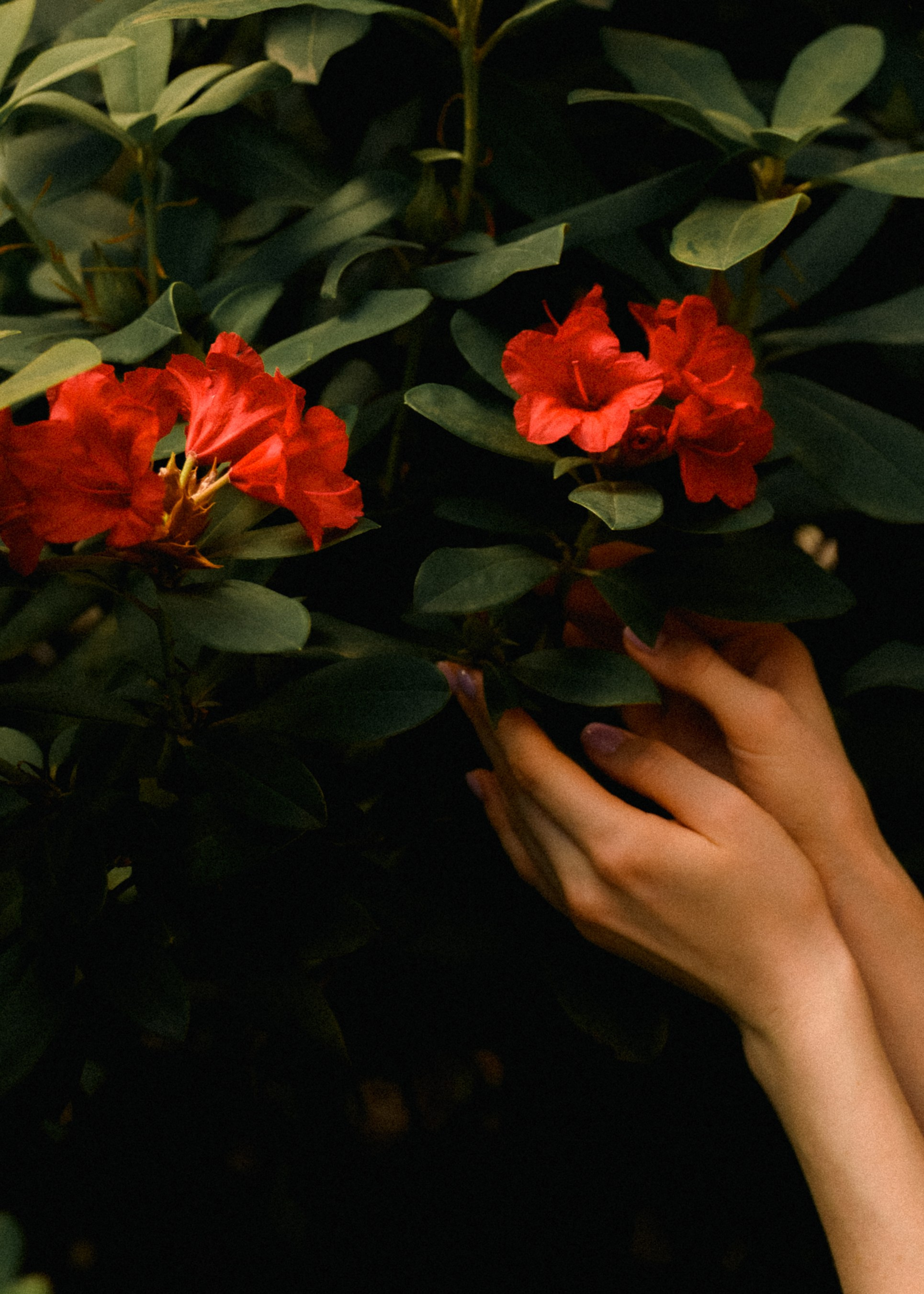 Саша. Фотограф Ира Арефьева Москва|Истра