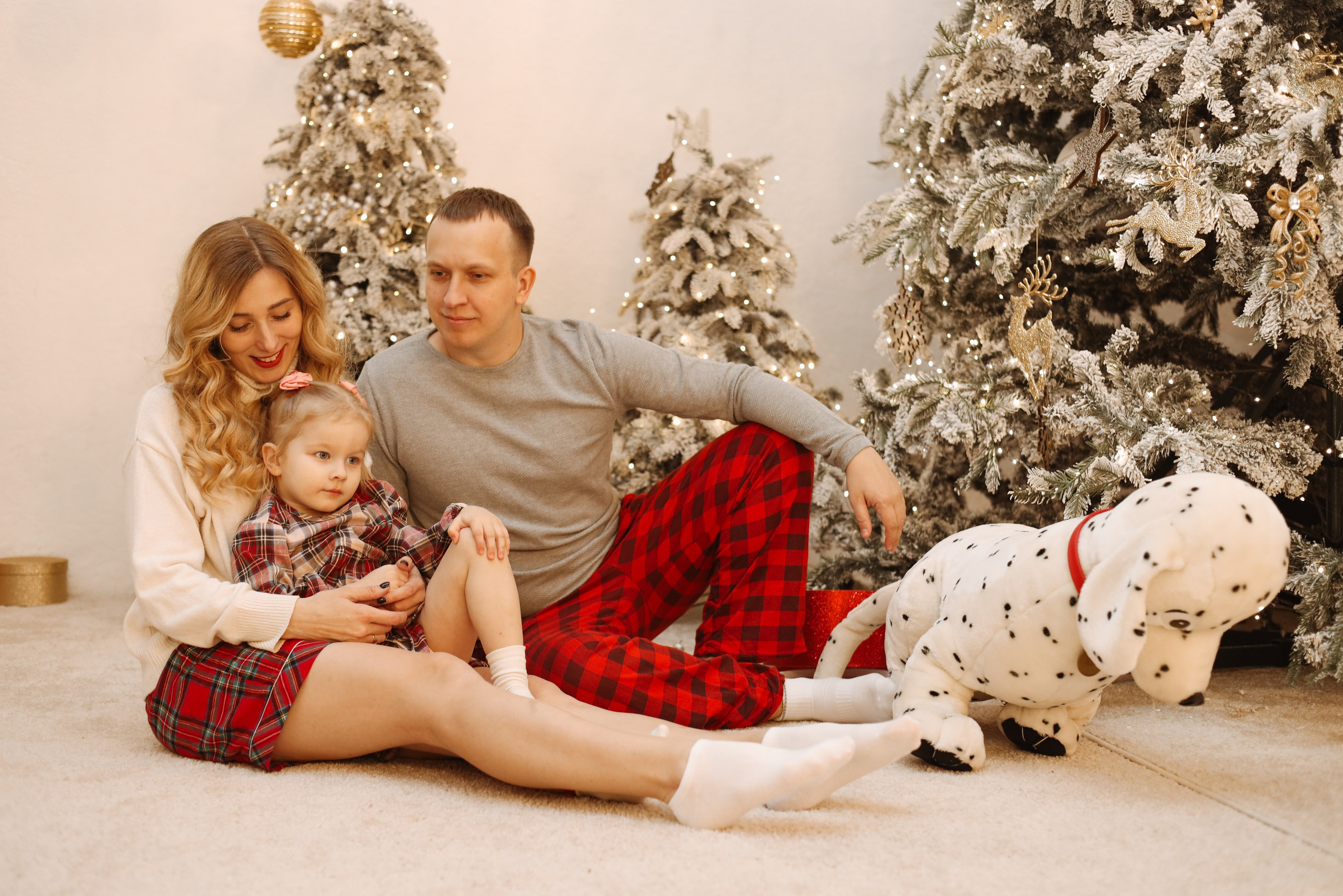 Семейная Новогодняя съемка. Photographer Tatiana Ivanova in Yaroslavl