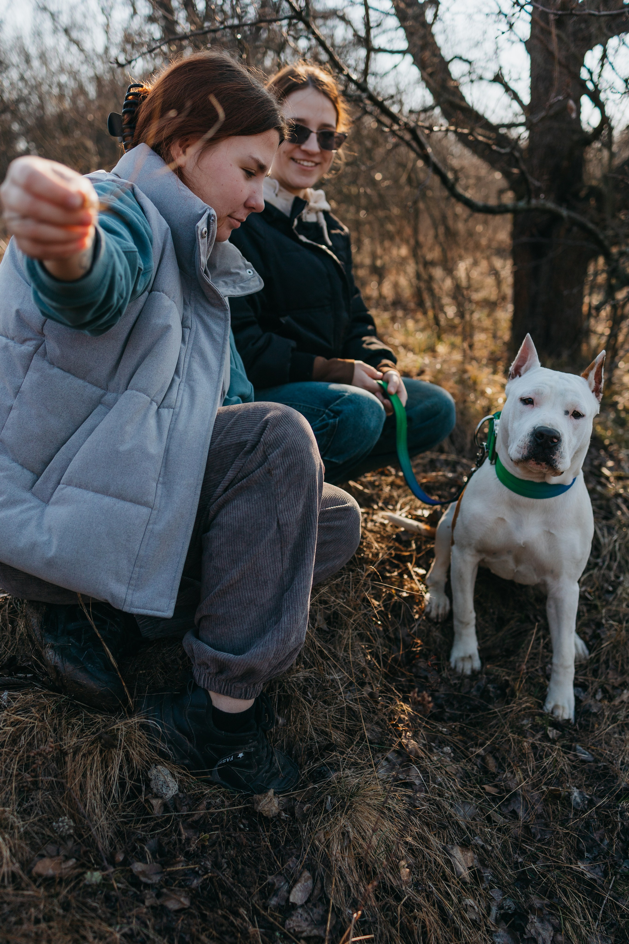 Лера, Ума и Винни. Фотограф — анималист Светлана Кысса|фотограф собак в Краснодаре и Нижнем Новгороде