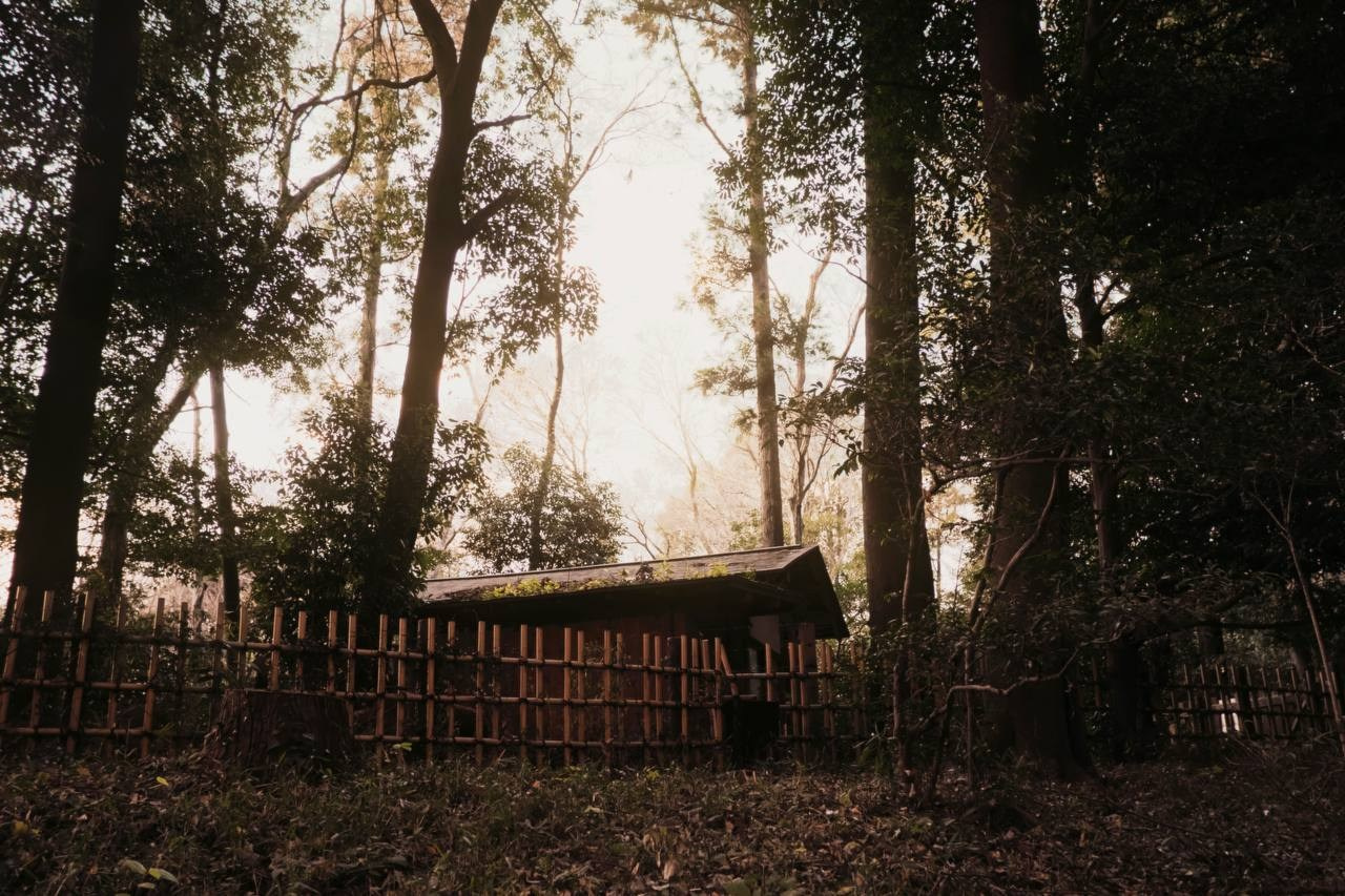 Разноплановый фотограф из Москвы/Твери