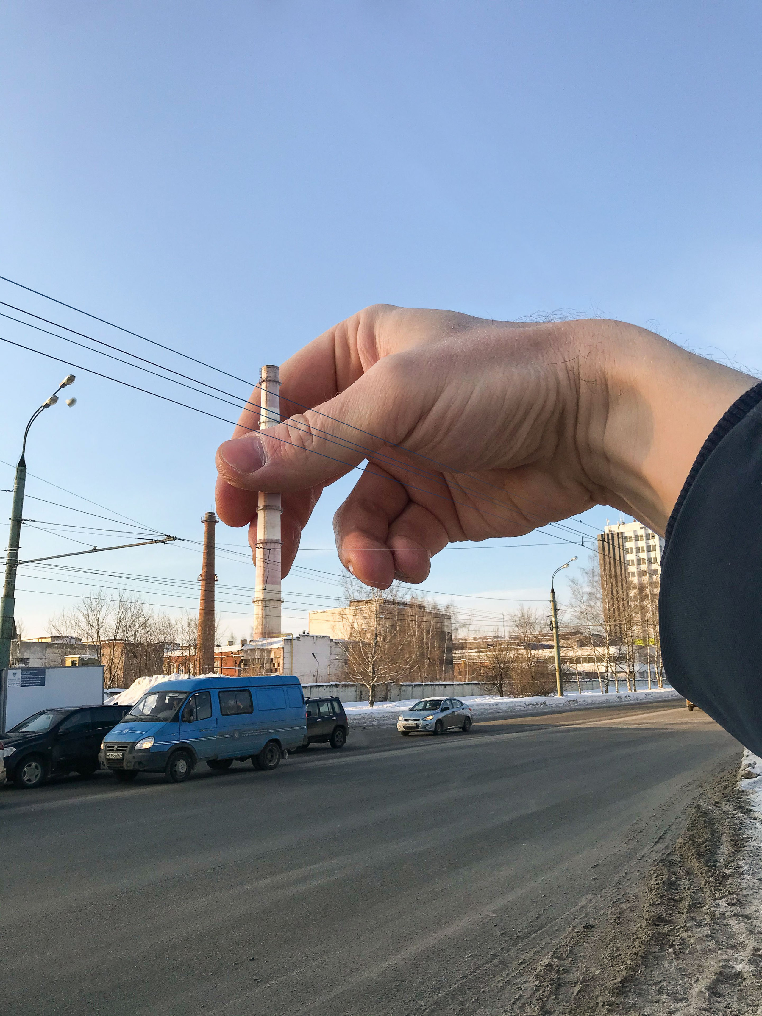 Дичь. Фотограф Виноградов Константин