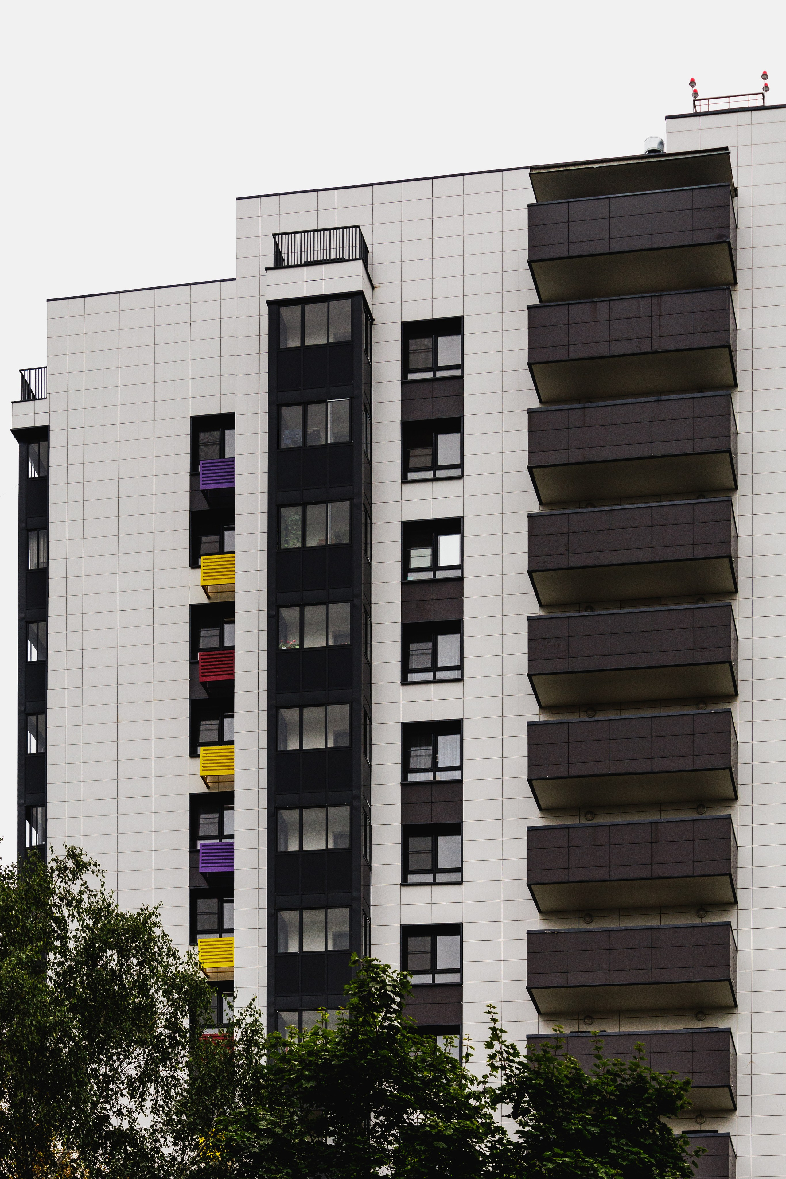 РЕНОВАЦИЯ — МОЛОДЦОВА 25. АЛТ Портфолио