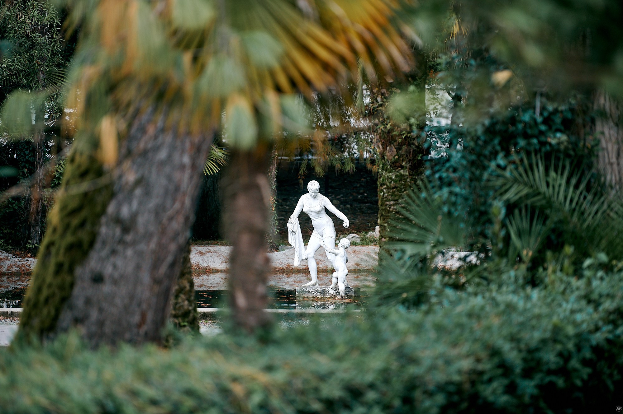 Гагра, Абхазия. Декабрь 2024. Фотографии отовсюду и обо всем