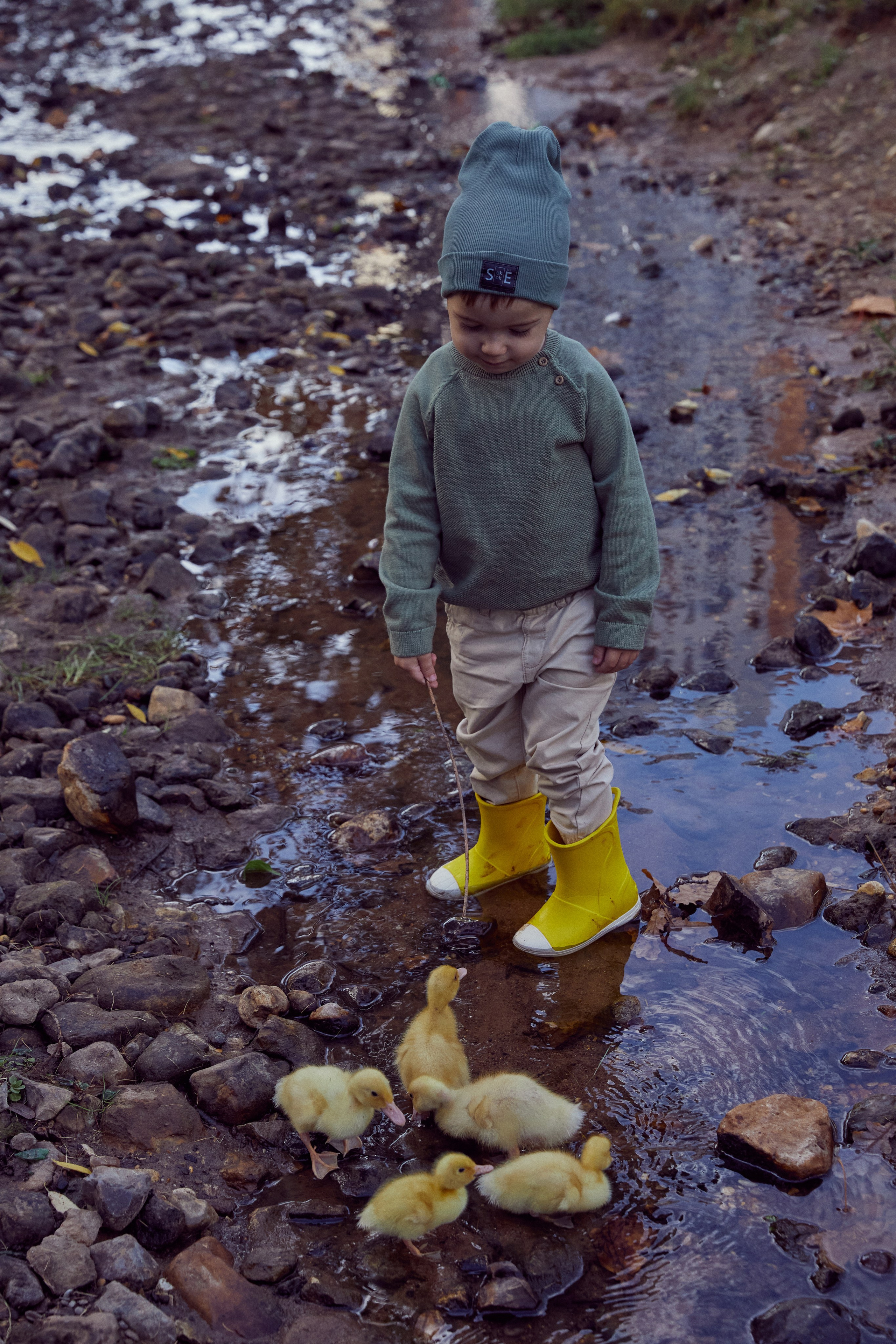 Фотодень с утятами (пруд). Фотограф