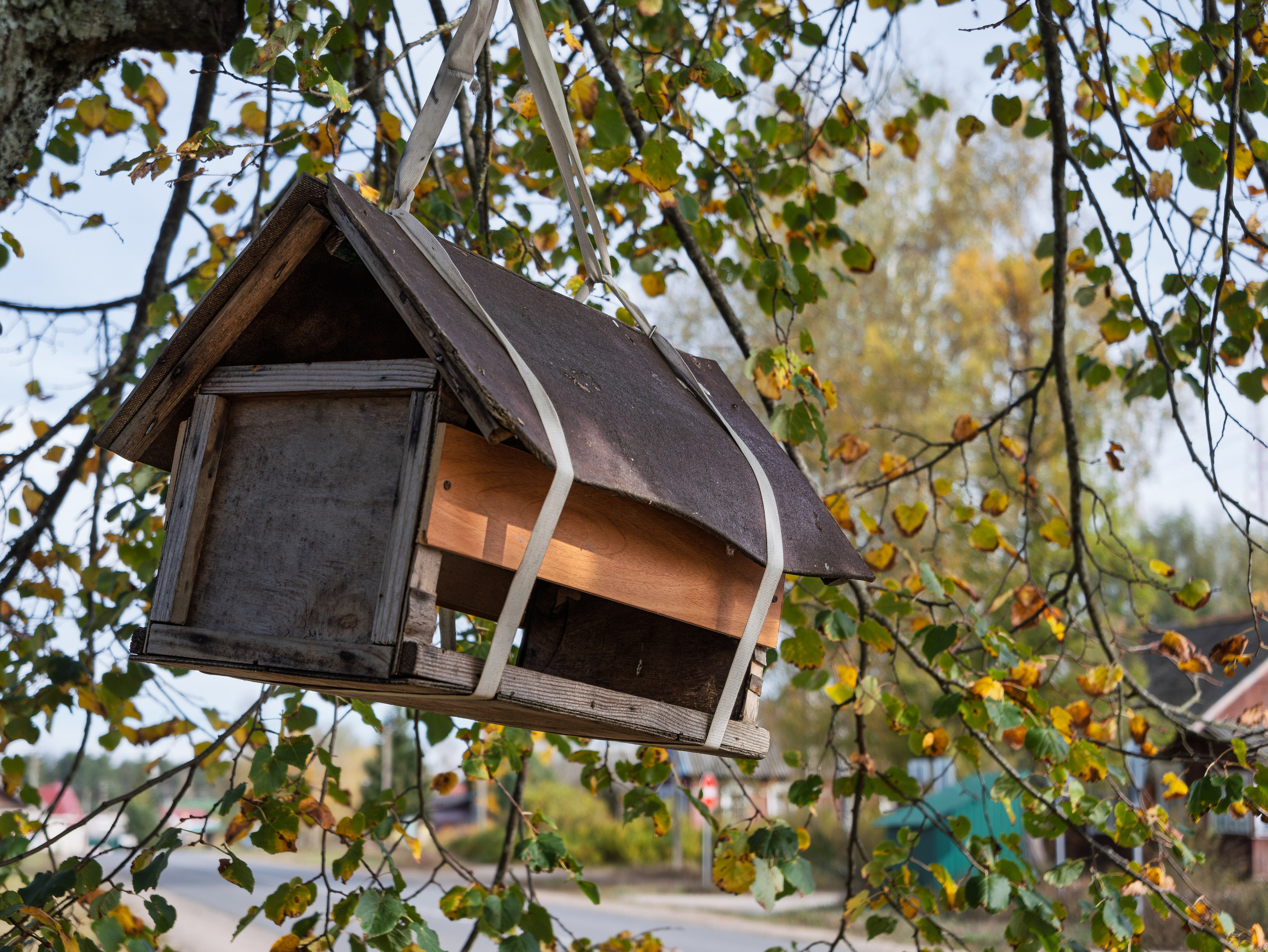 Голубые озера, Псковская область. Октябрь 2024. Фотограф Никифоров-Гордеев Сергей. Москва и МО