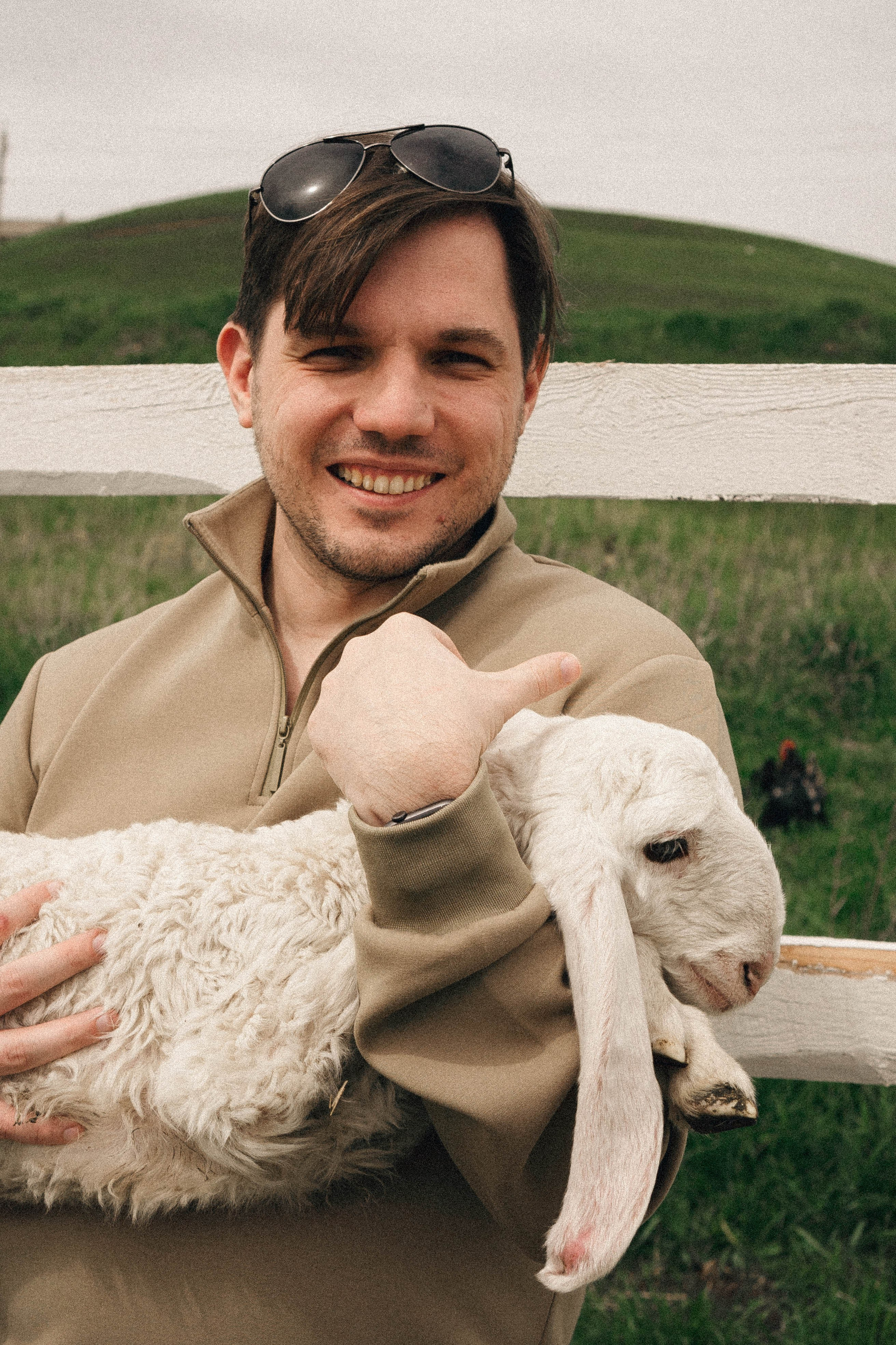 Ферма Альпак. Профессиональный фотограф, Санкт-Петербург — Виктория Богомолова