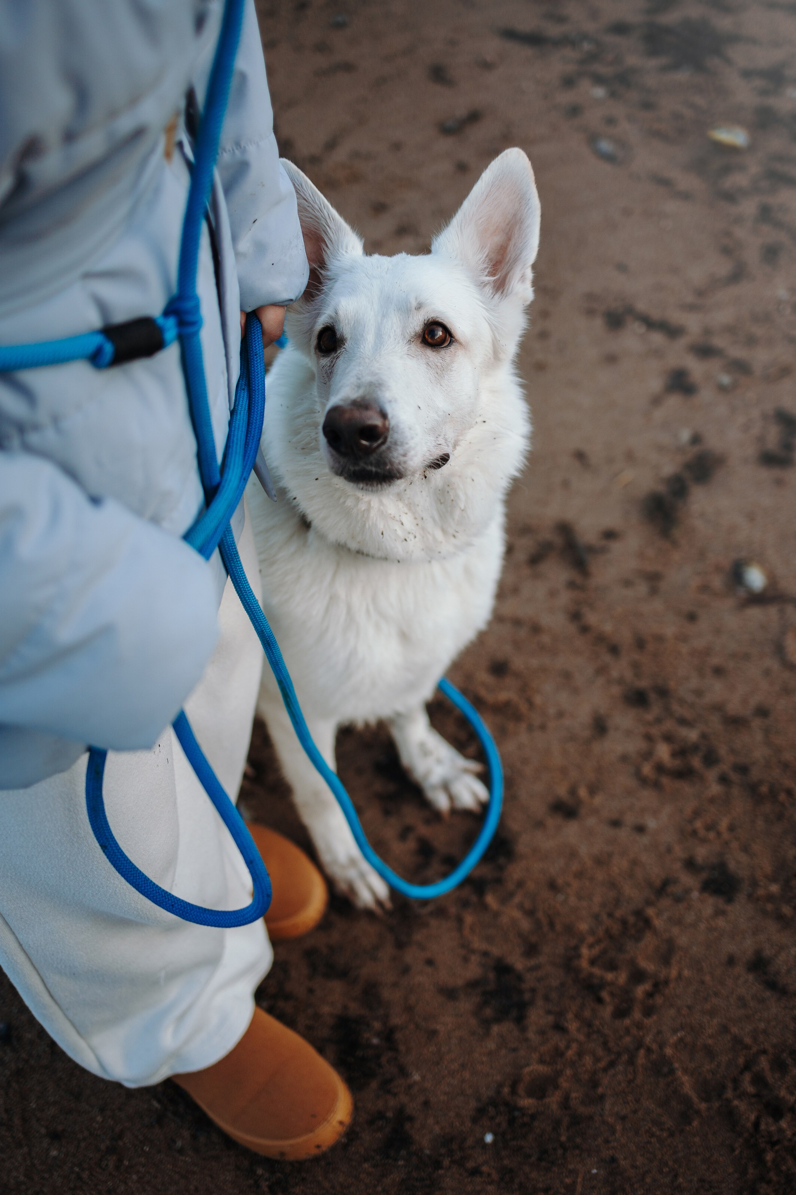 Настя и Эва. Фотограф — Анималист | Санкт-Петербург