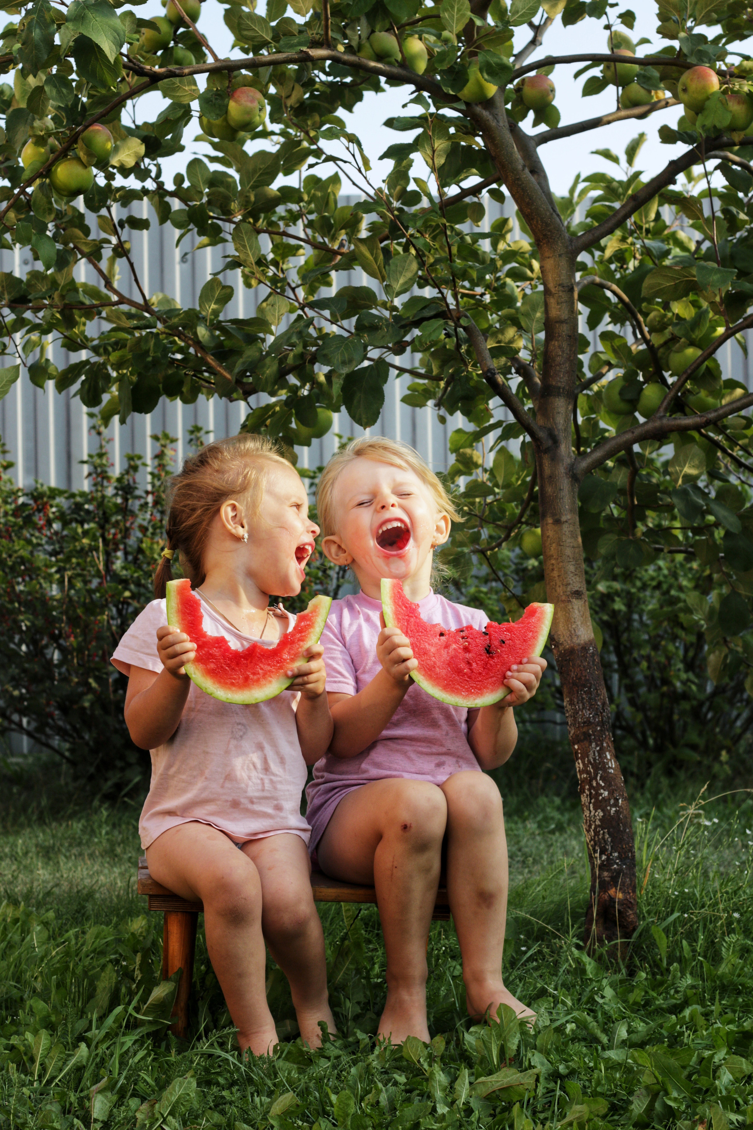 Дети. Фотограф Тата Шип