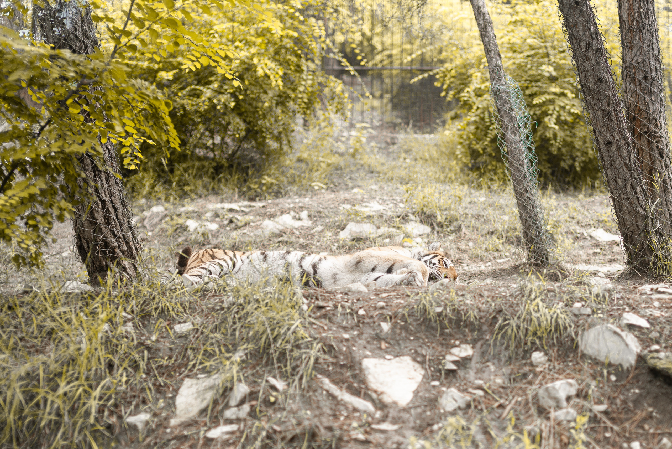 Июнь–Июль Отпуск Белореченск, Геленджик. Семейный, Свадебный фотограф СПБ Питер— Романова Екатерина