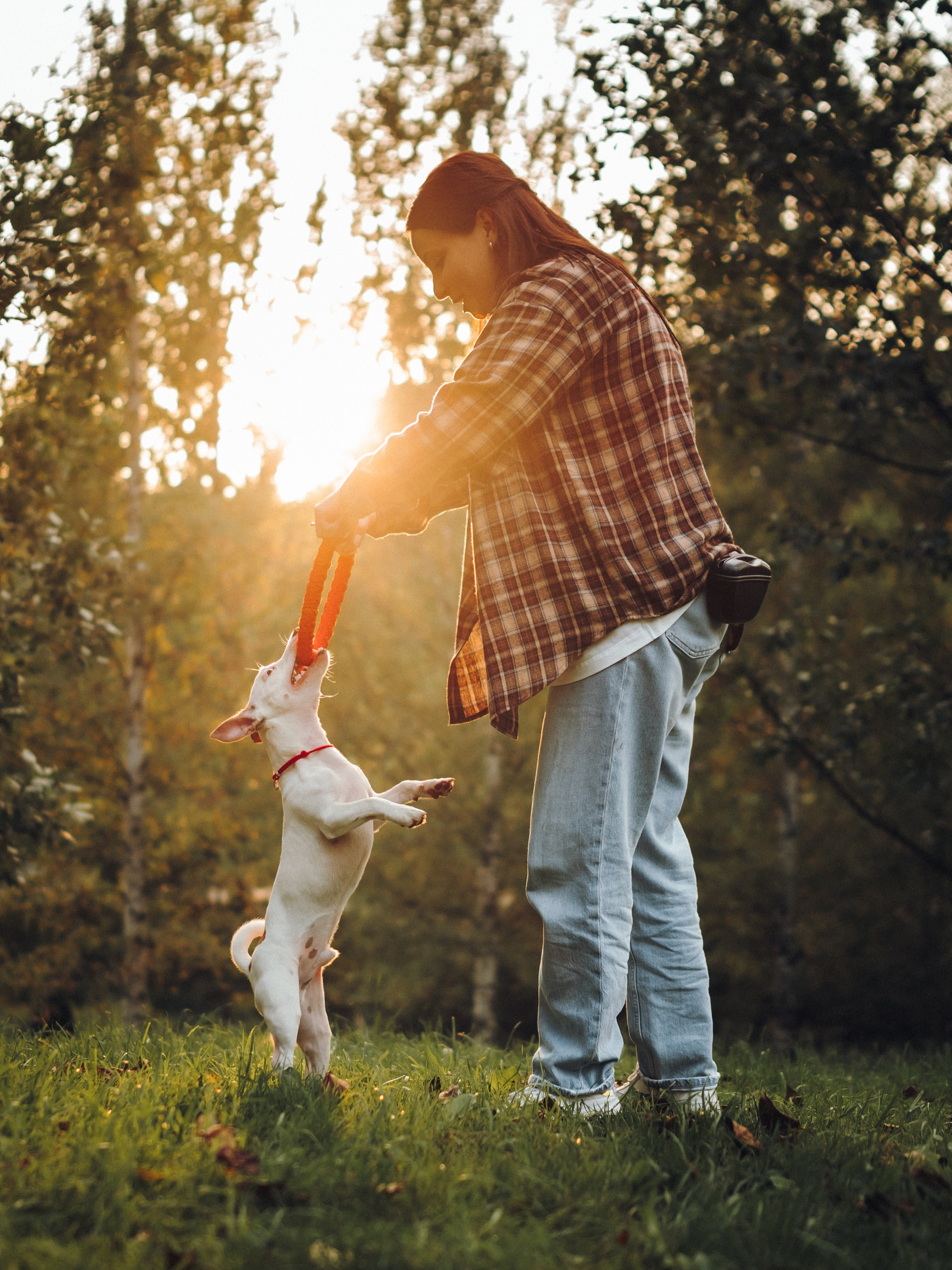 Алена, Илья, Даня и Данте. Семейный фотограф анималист Ананьева Мария — Москва