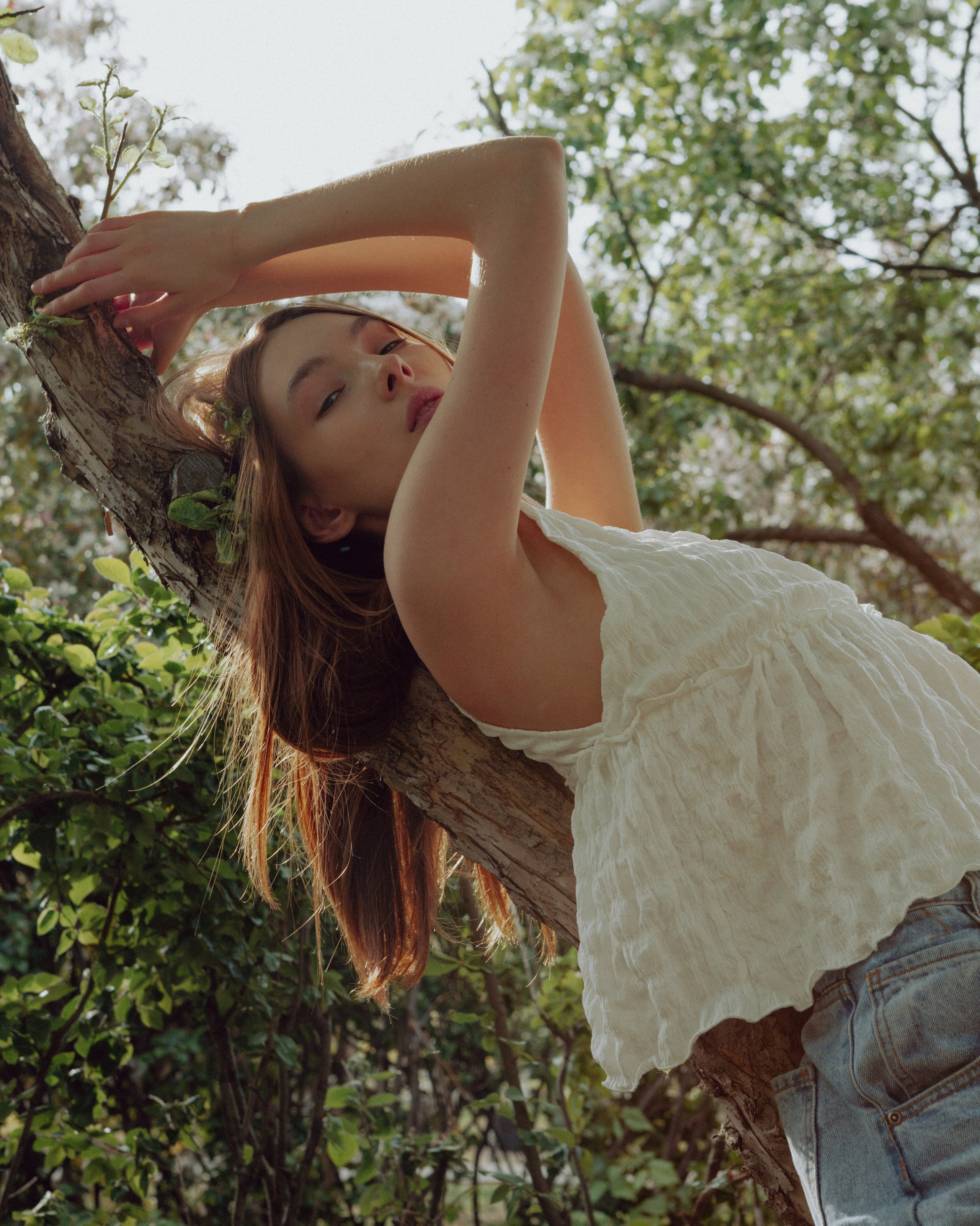 Влада. Главная