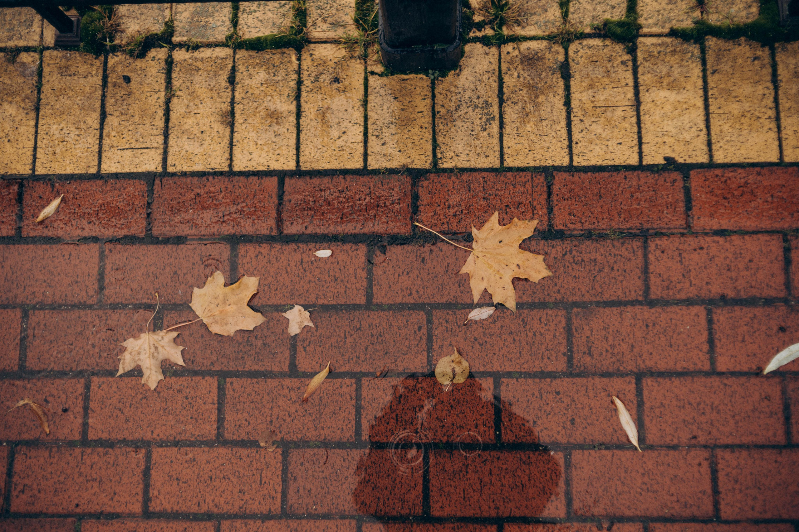 Aleksey & Olga. Свадебный и портретный фотограф в Калининграде Наталия Еник