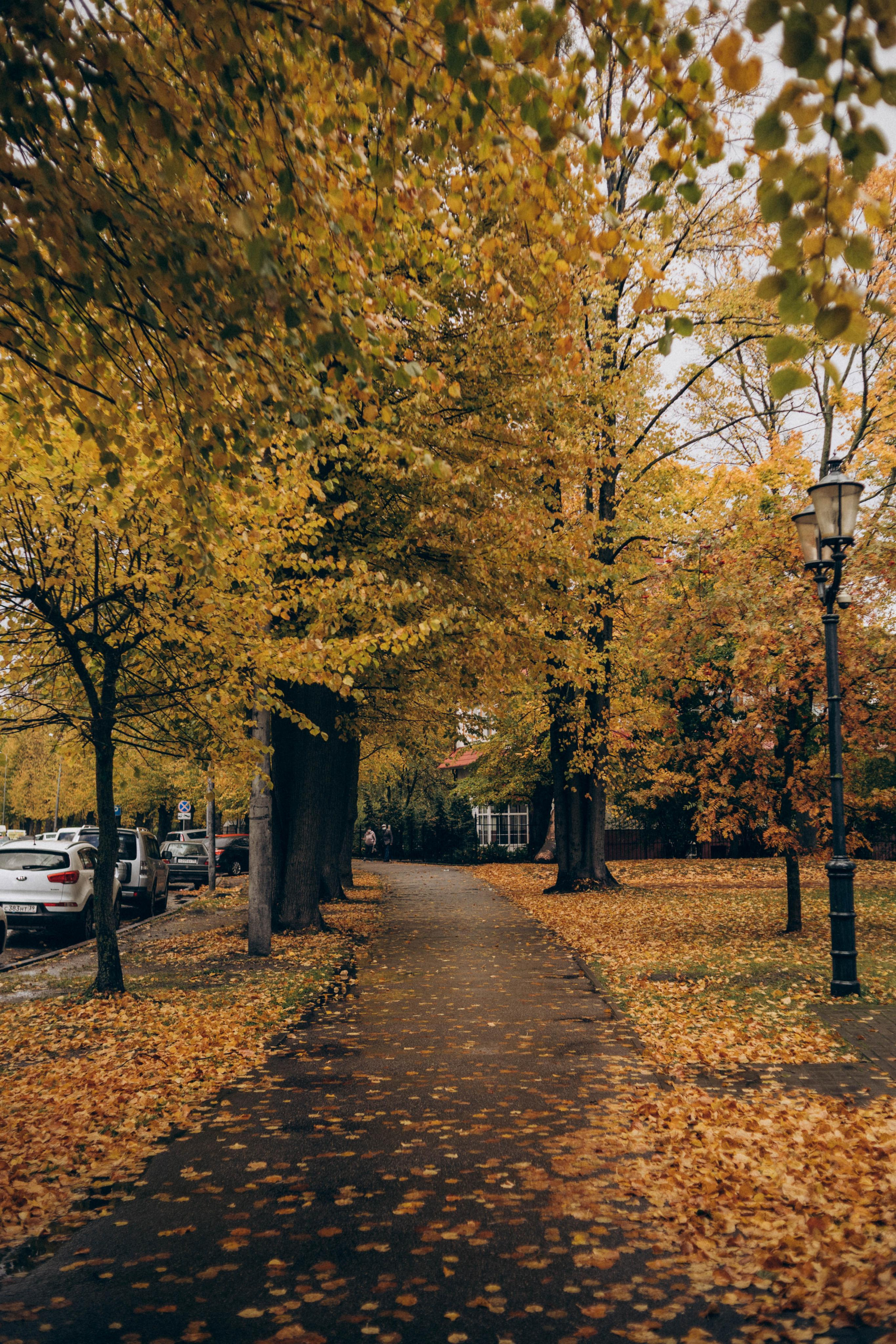 Aleksey & Olga. Свадебный и портретный фотограф в Калининграде Наталия Еник
