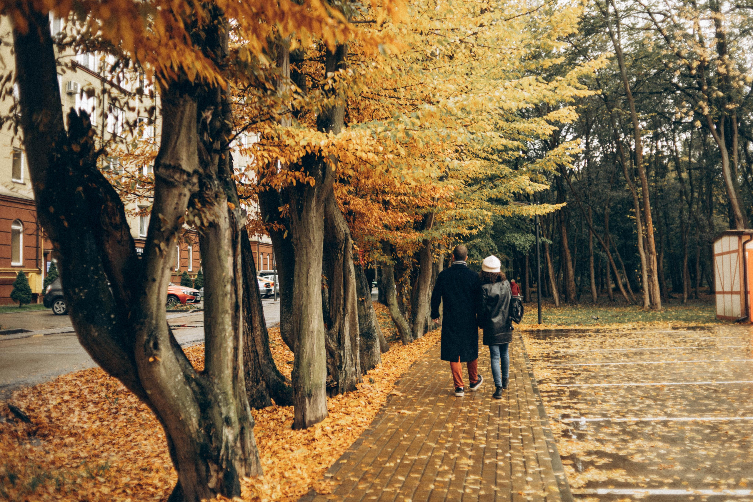 Aleksey & Olga. Свадебный и портретный фотограф в Калининграде Наталия Еник