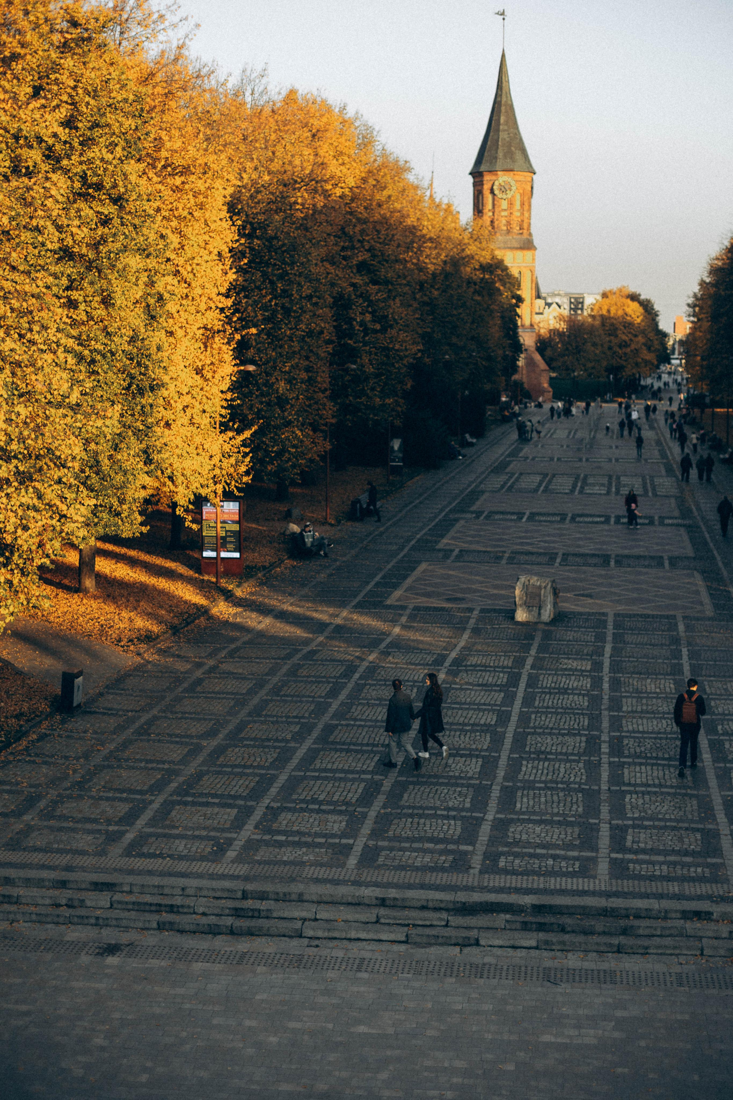 Roman & Alina. Свадебный и портретный фотограф в Калининграде Наталия Еник