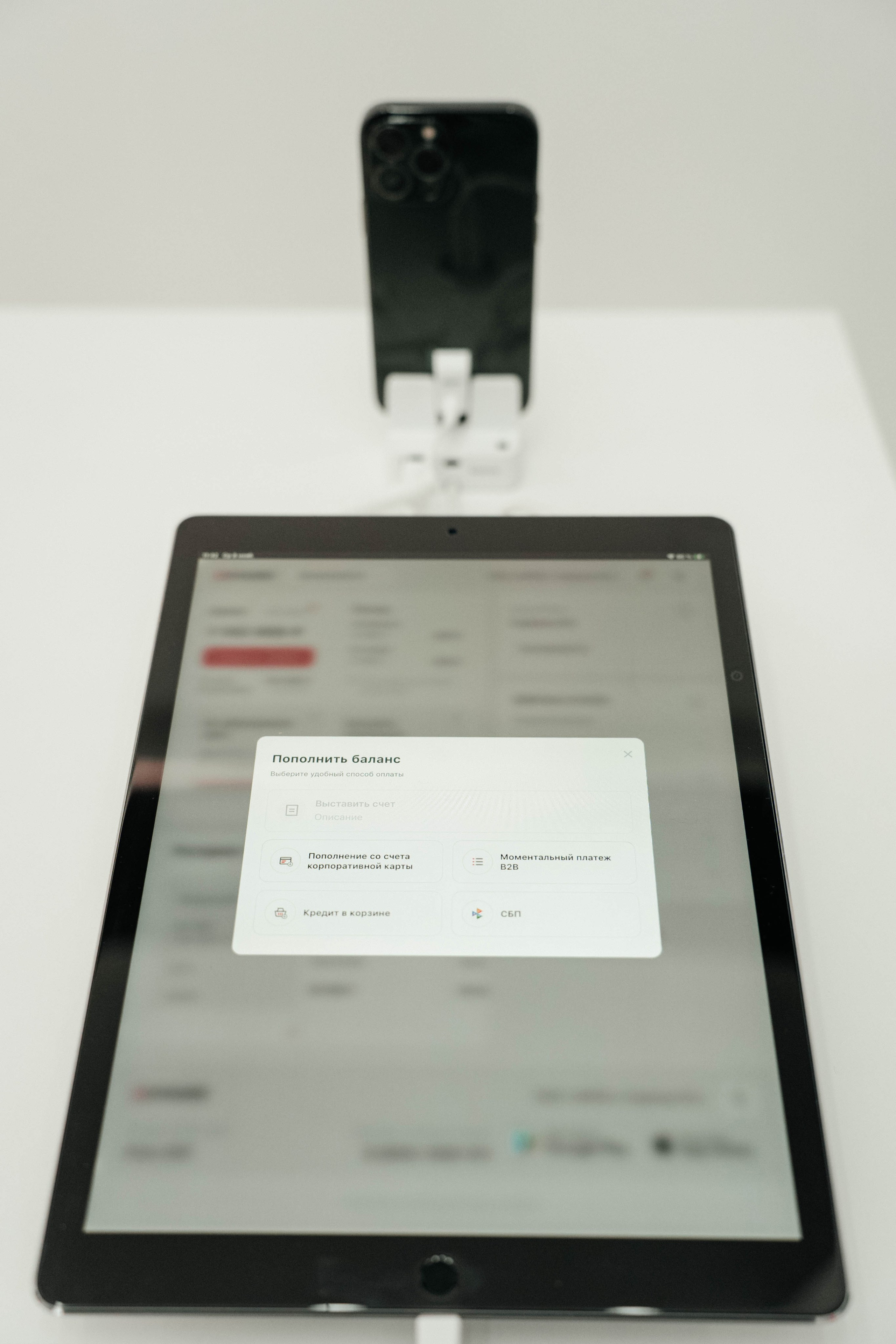 FINO POLIS|2023. Свадебный фотограф Москва Александра Аверкова