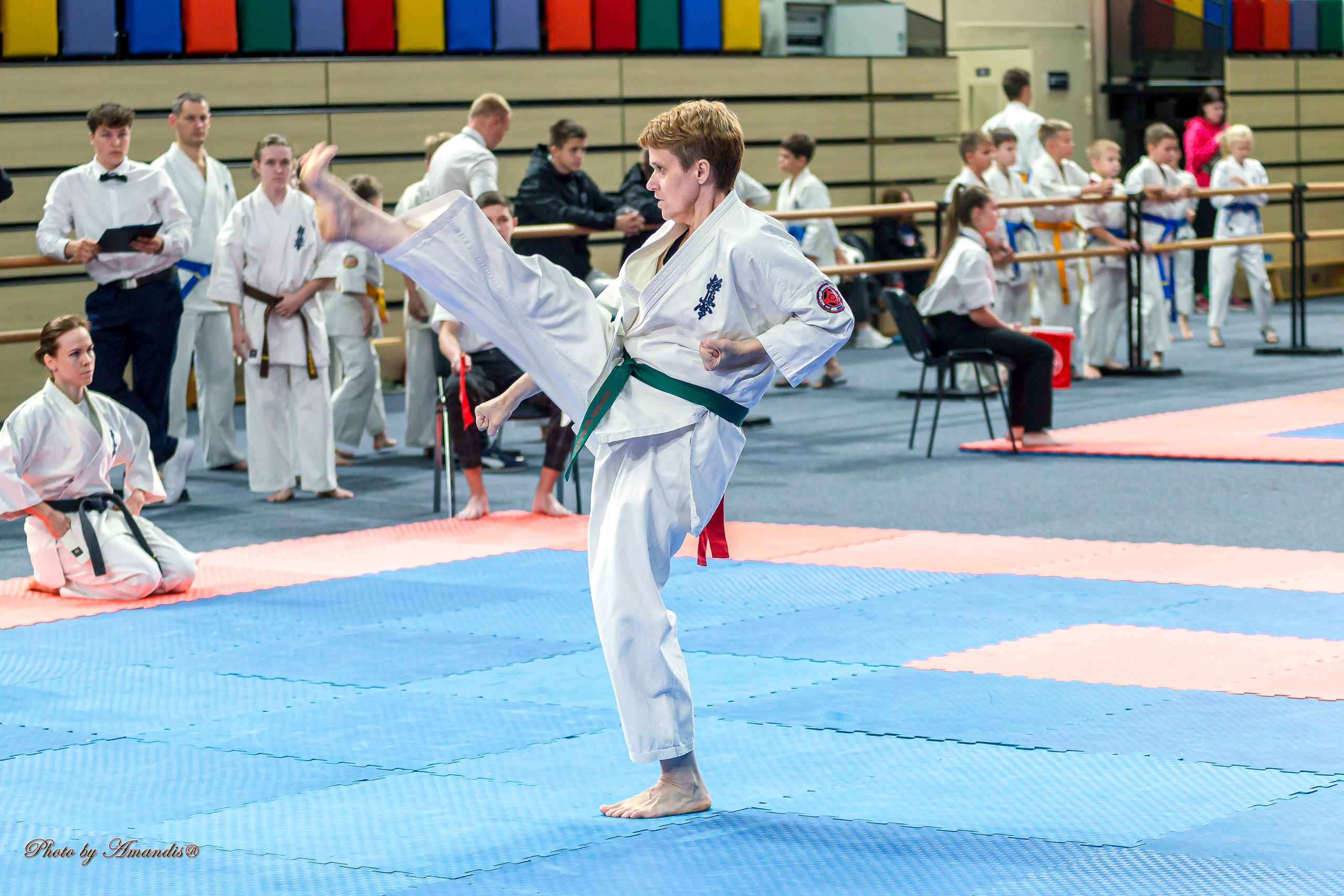 Первенство Московской области по Киокушин в СК «Жаворонки». Репортажная съемка в Москве и области. Анималистика