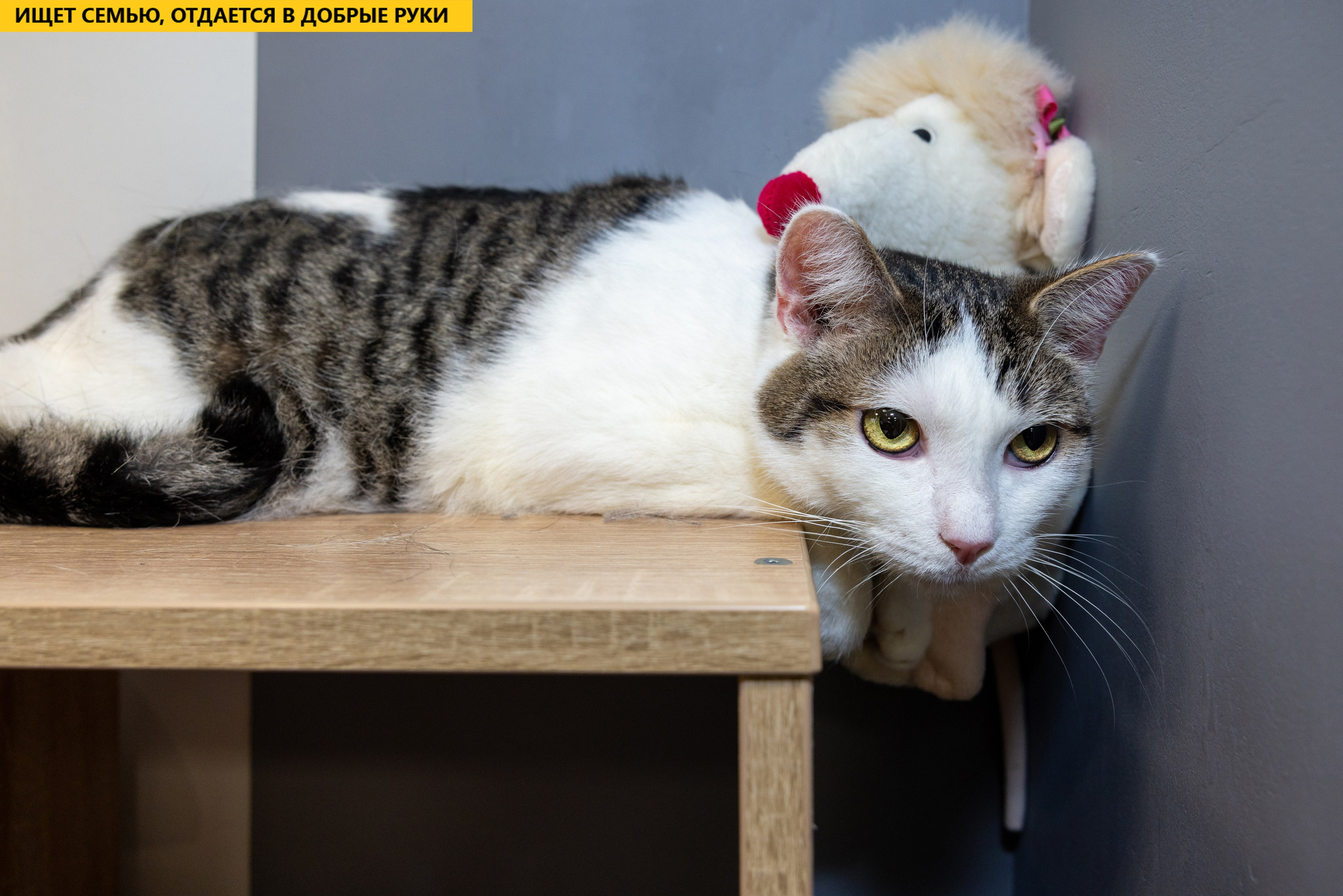 Рекламная съемка в Москве. Геннадий Степанов —фотограф в Москве