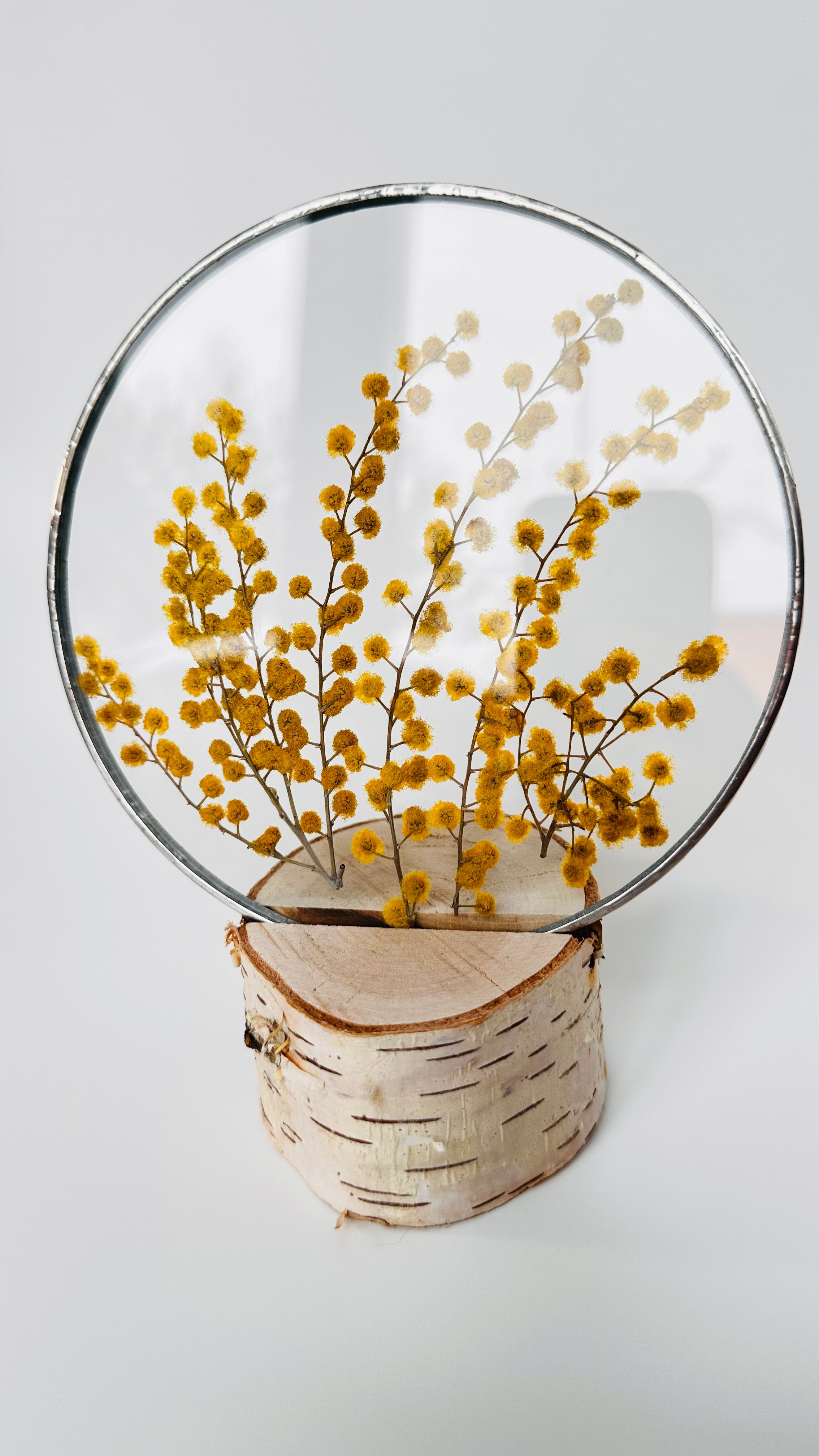 Гербарий в стекле с сухоцветами (витраж в технике тиффани). Гербарий в стекле, интерьерные панно, витражи с сухоцветами в технике тиффани