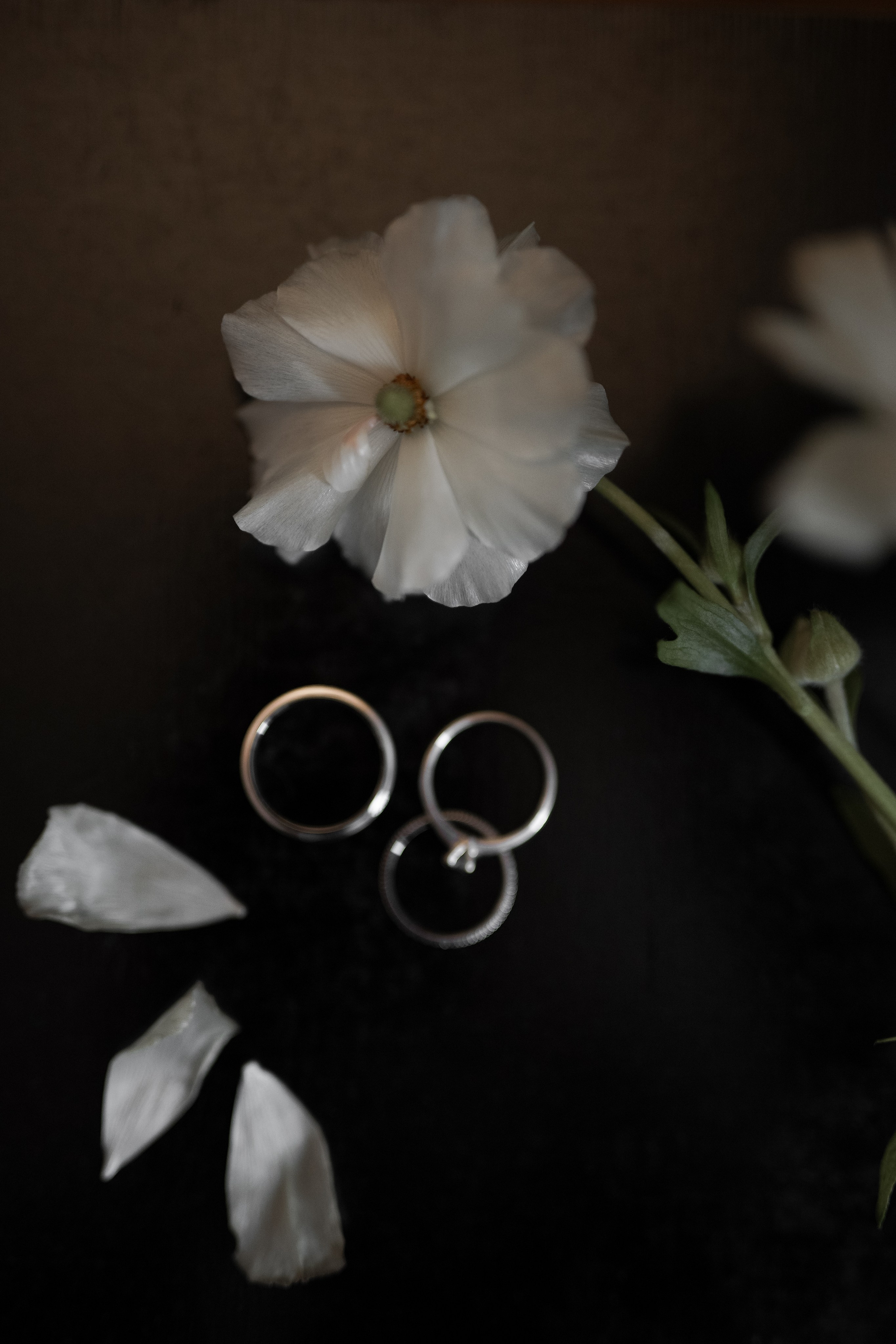 Анастасия и Павел. Свадебный фотограф Марина Попова