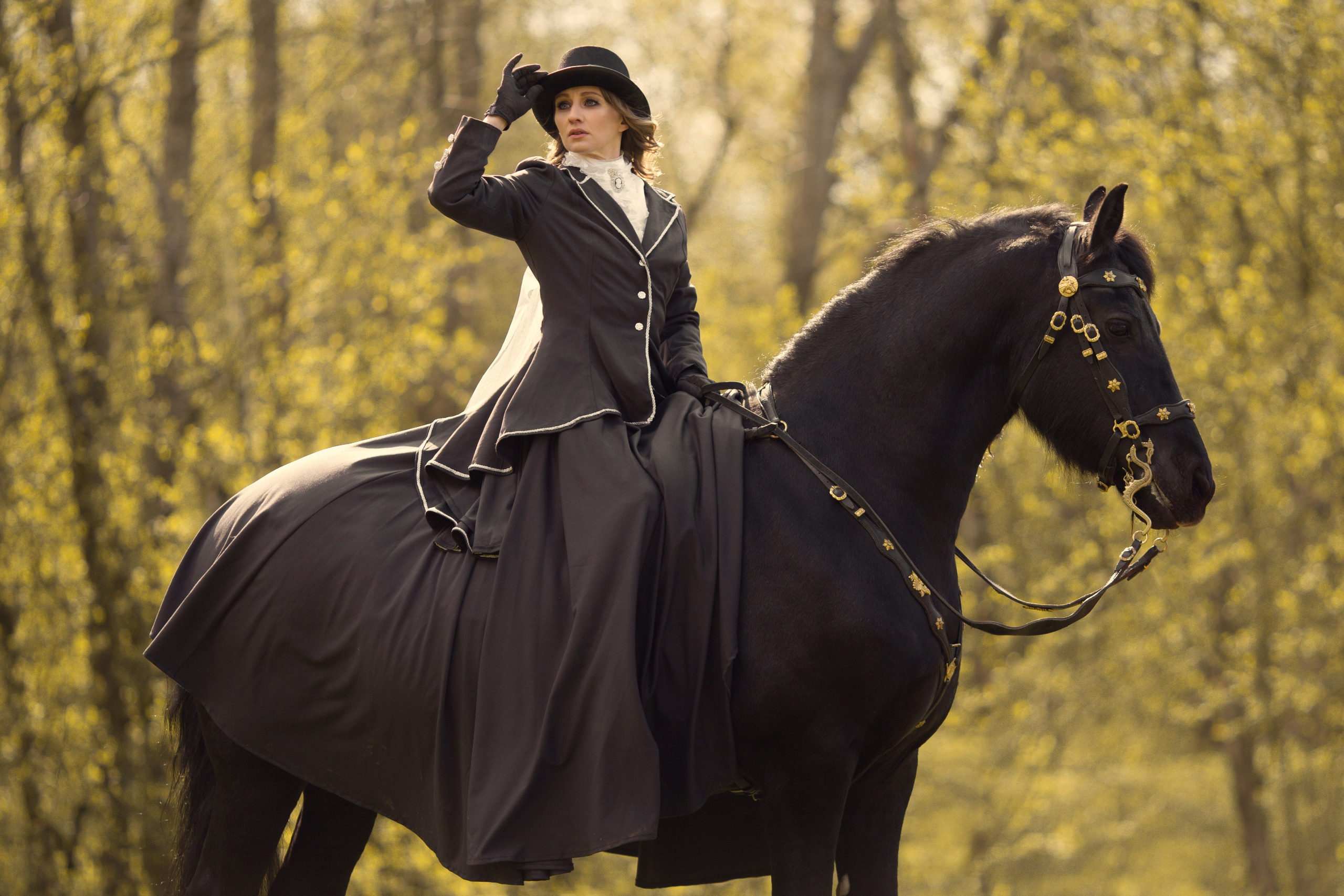 Фотосессия с черной лошадью